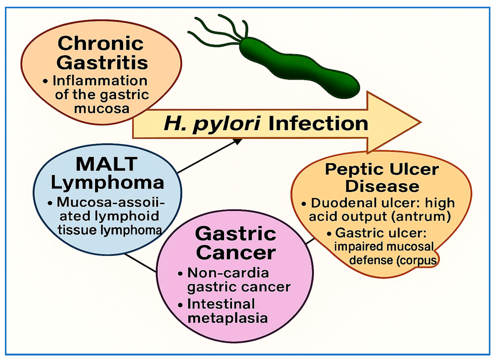 Vaccines 13 00725 g004