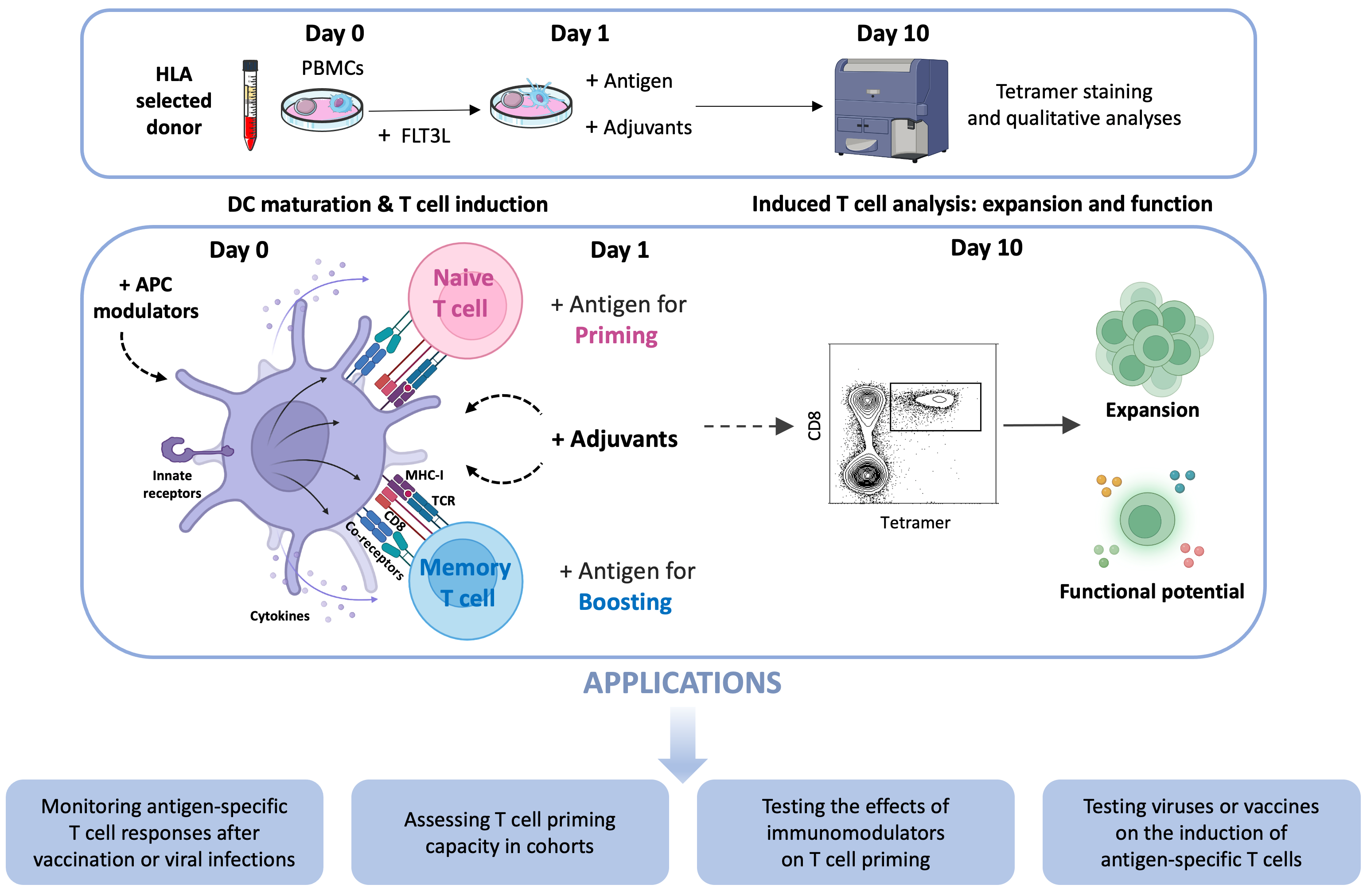 Vaccines 13 00729 g001