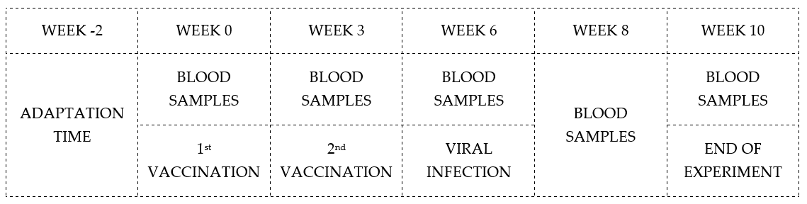 Vaccines 13 00731 g003