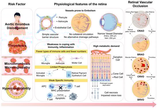 Vaccines 13 00733 g003