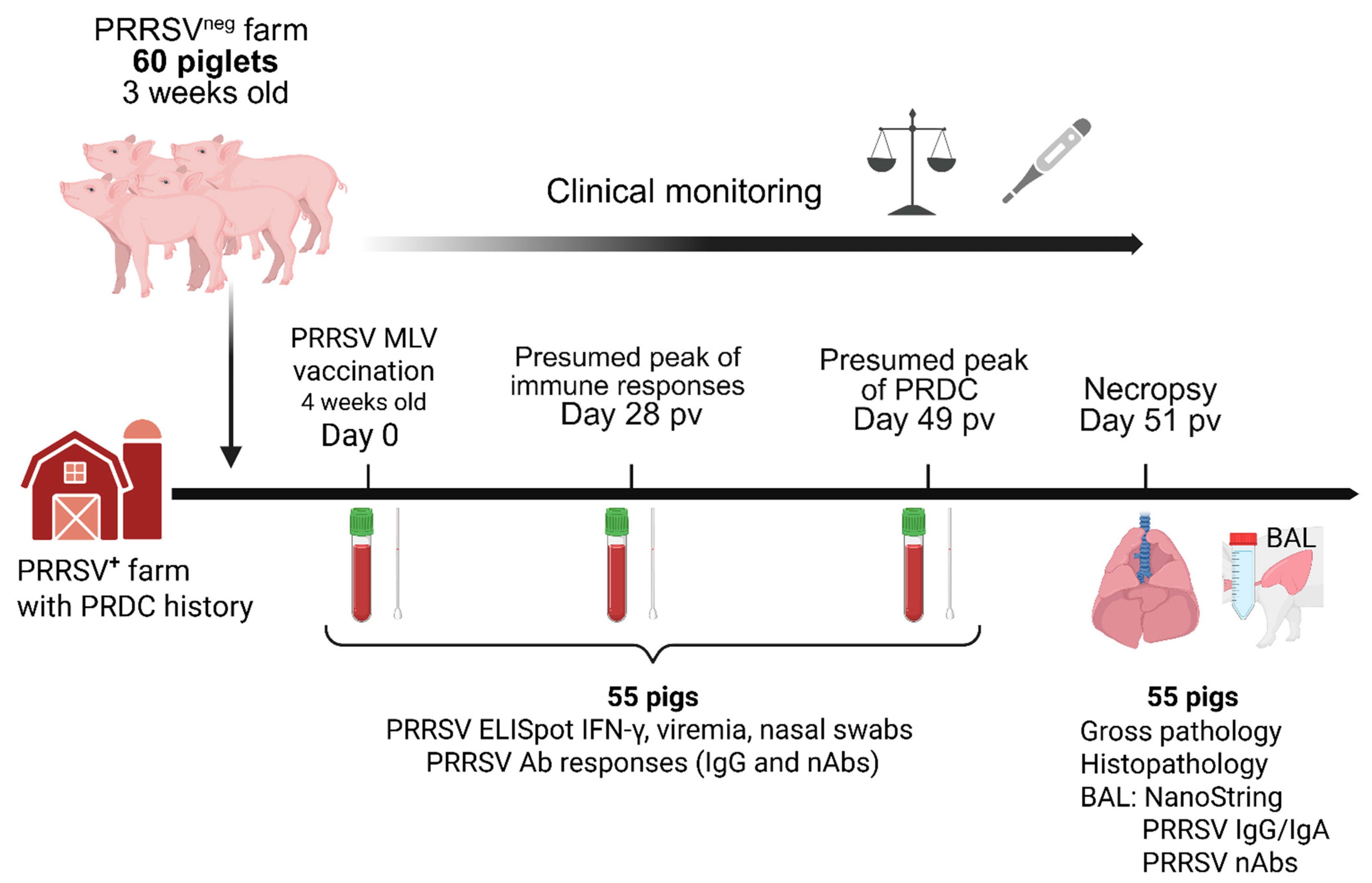 Vaccines 13 00740 g001