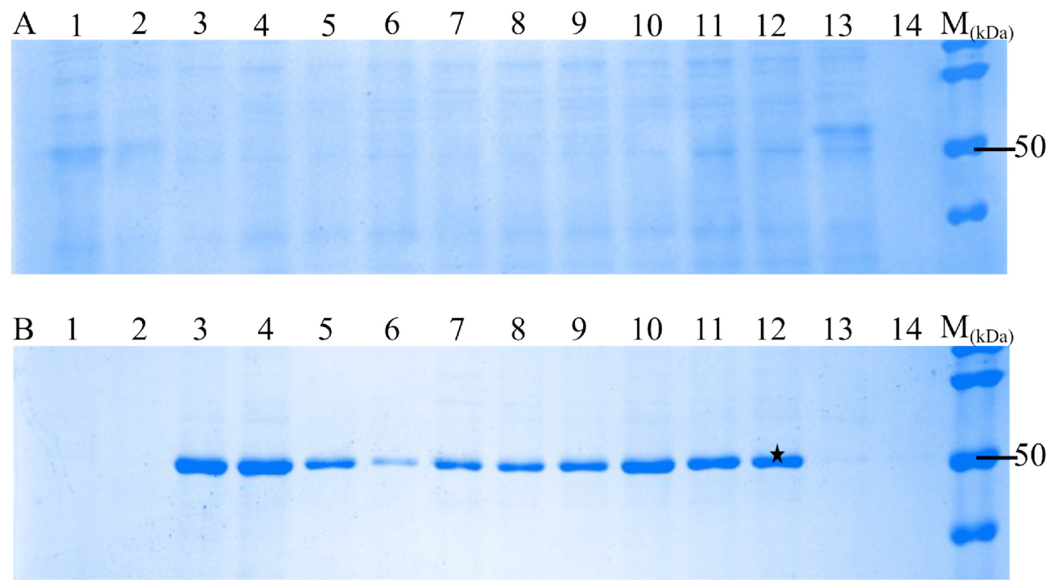 Vaccines 13 00744 g002