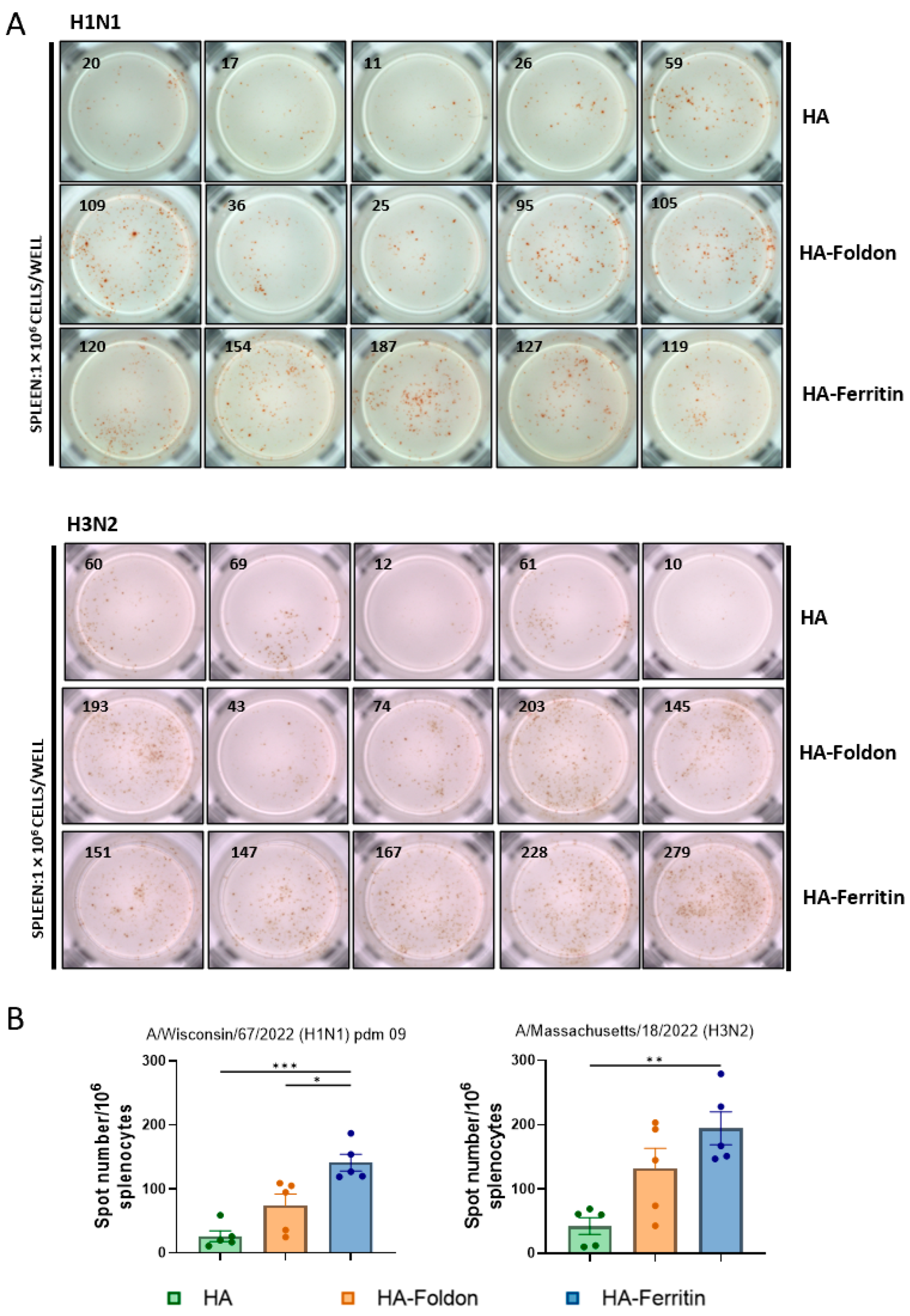 Vaccines 13 00745 g003