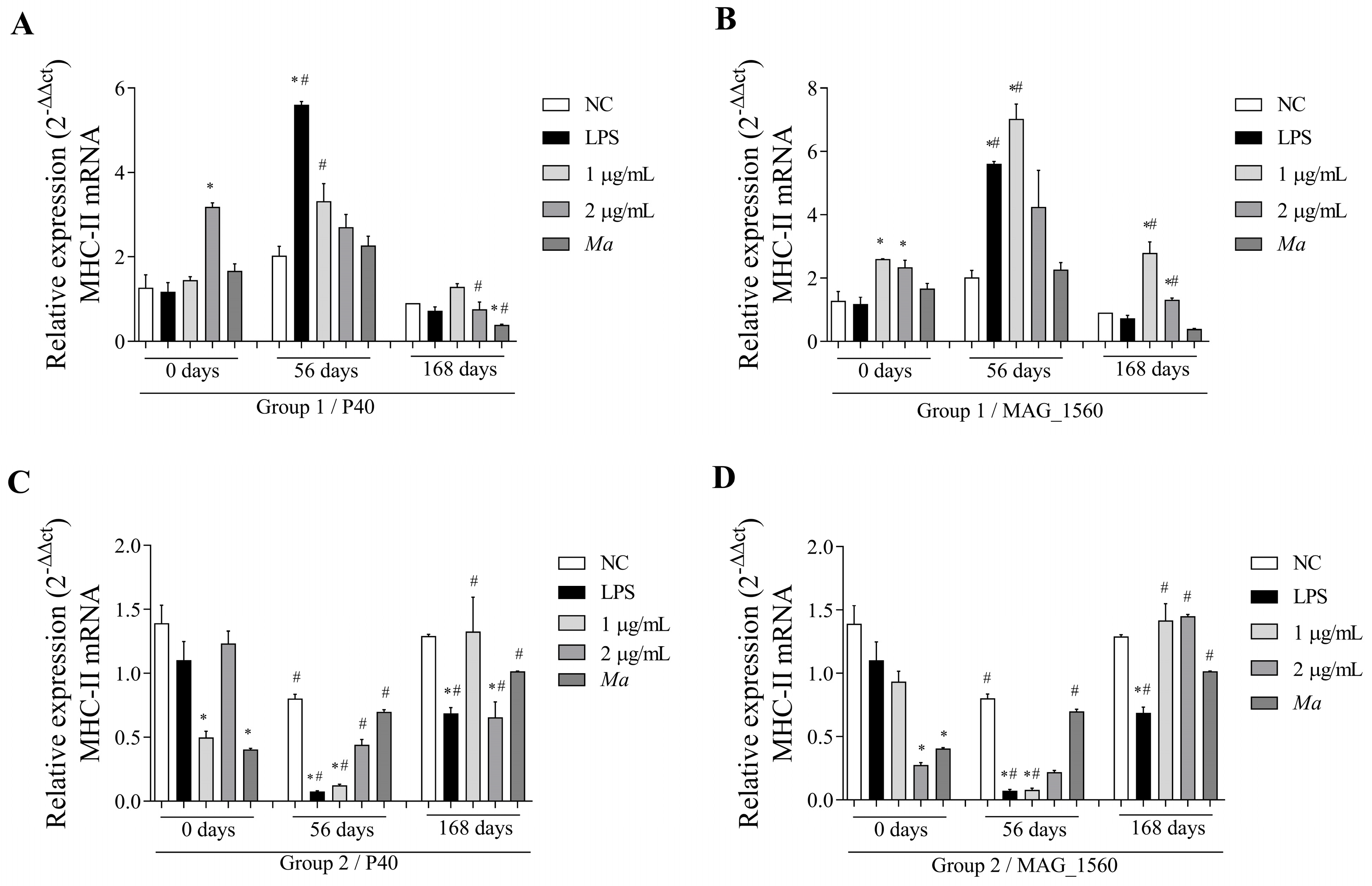 Vaccines 13 00746 g007