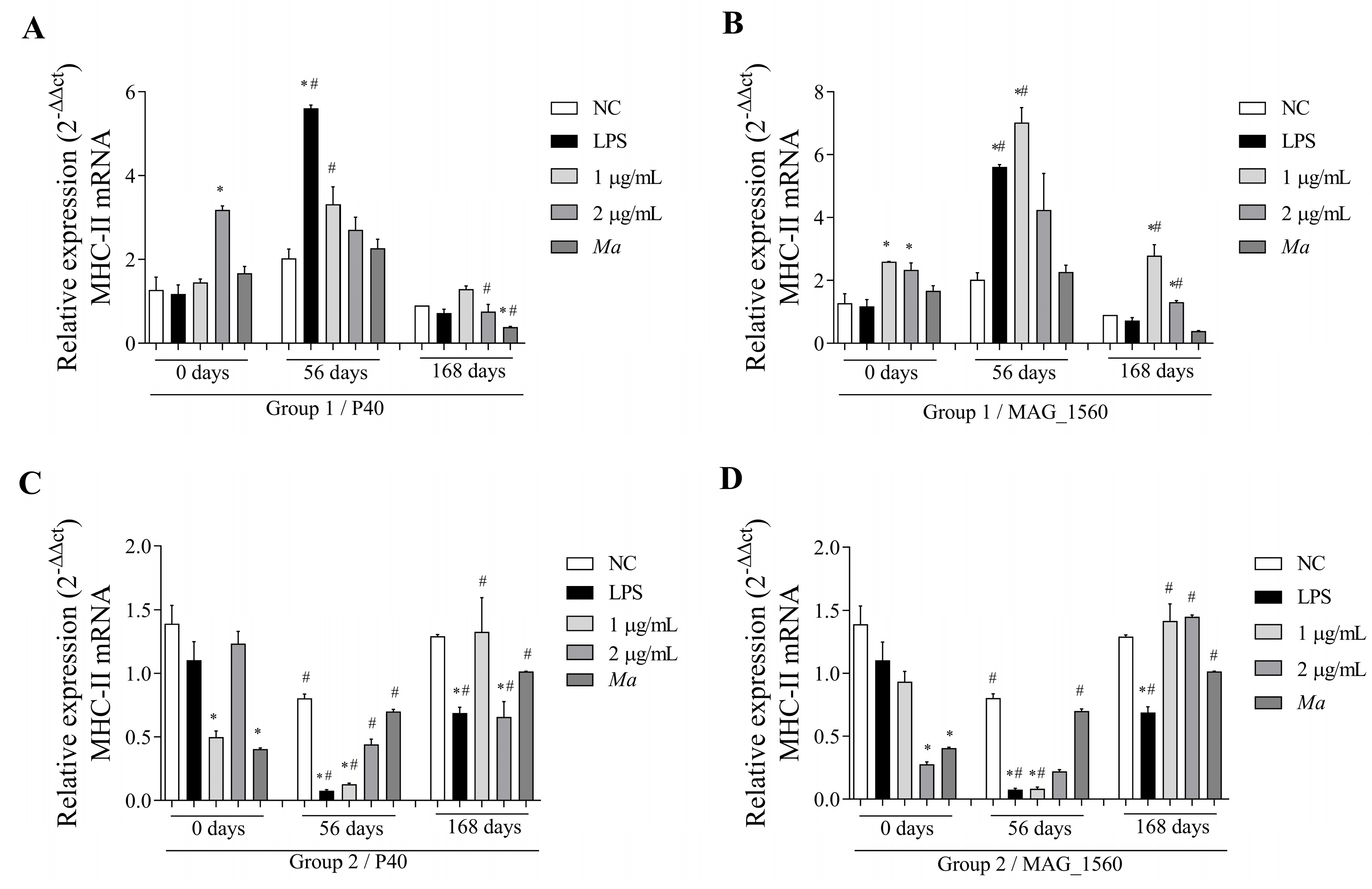 Vaccines 13 00746 g008