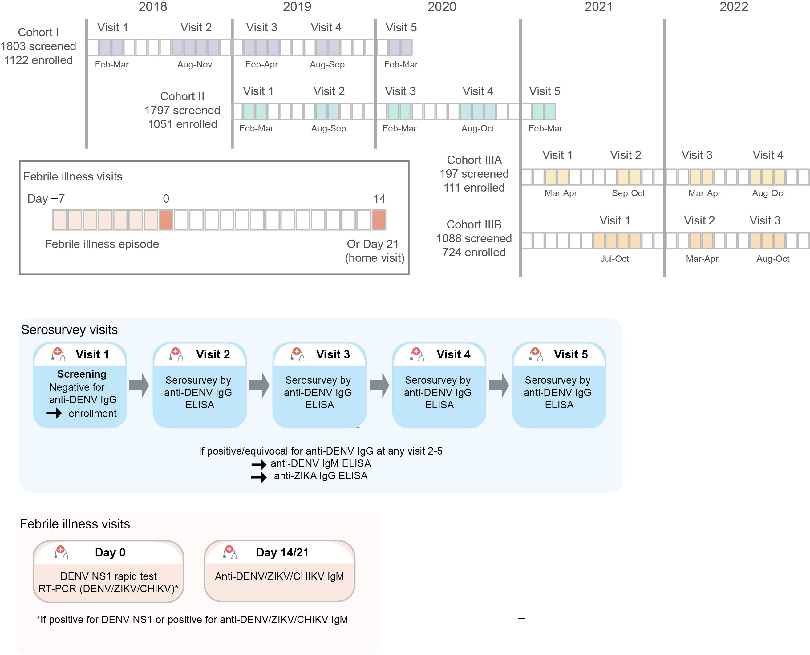 Vaccines 13 00748 g001