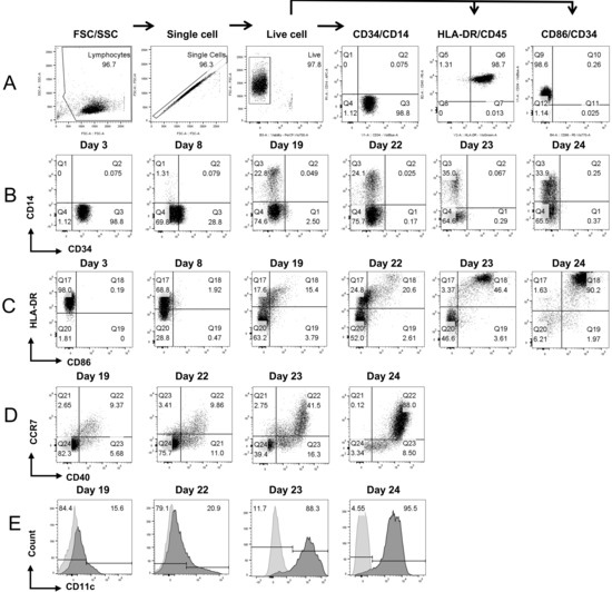Vaccines 13 00749 g002