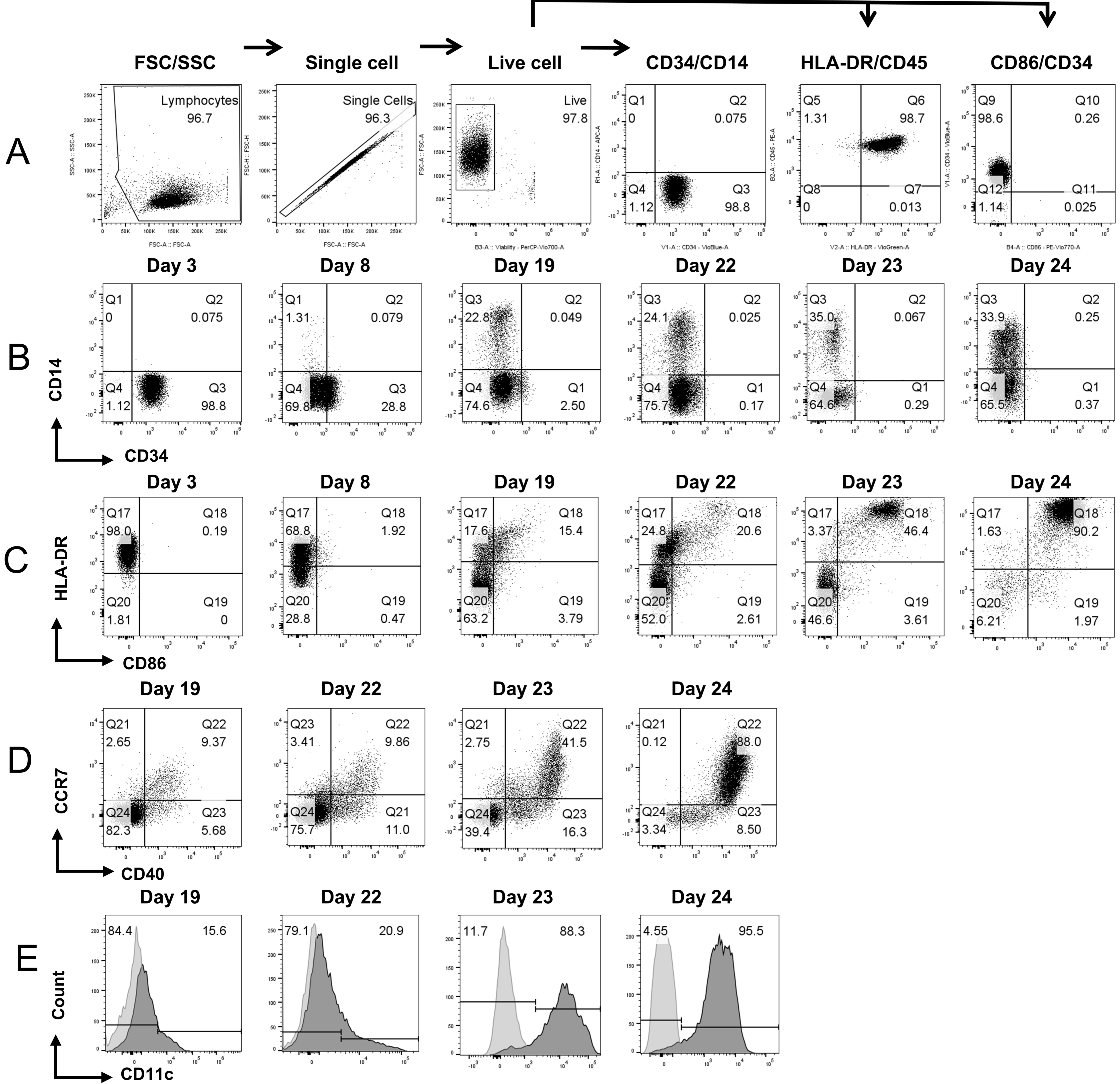 Vaccines 13 00749 g002