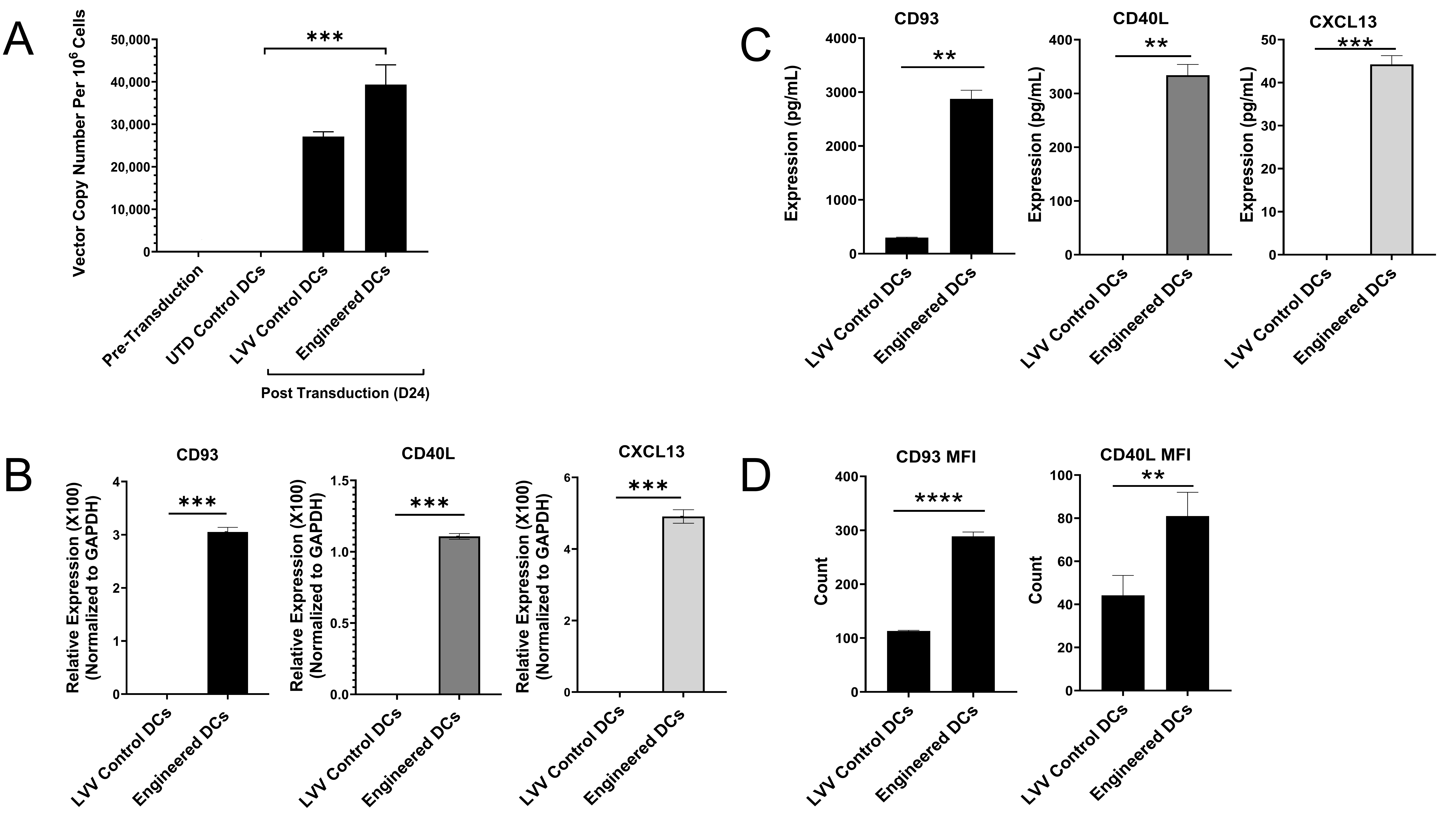 Vaccines 13 00749 g004