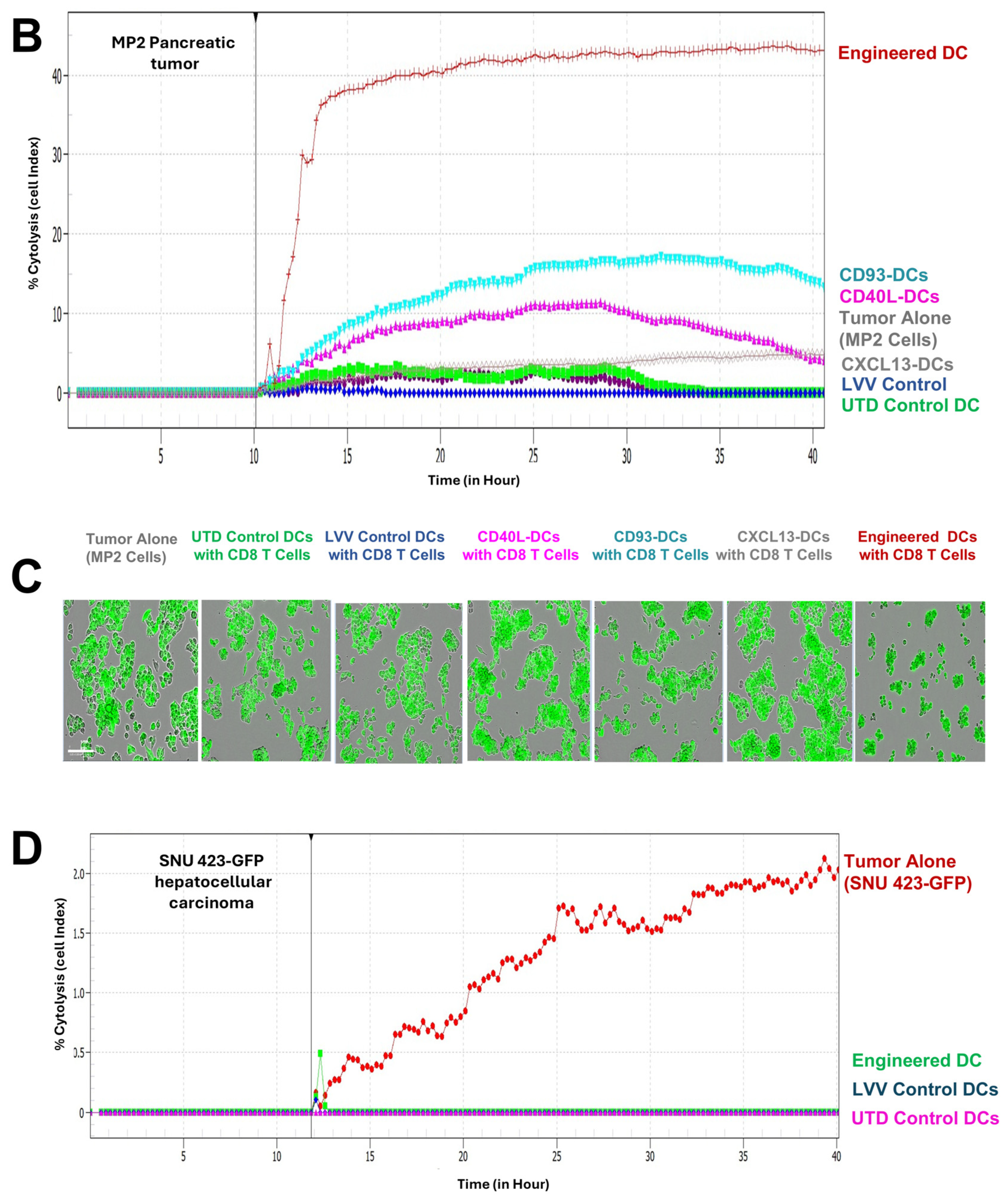 Vaccines 13 00749 g005b
