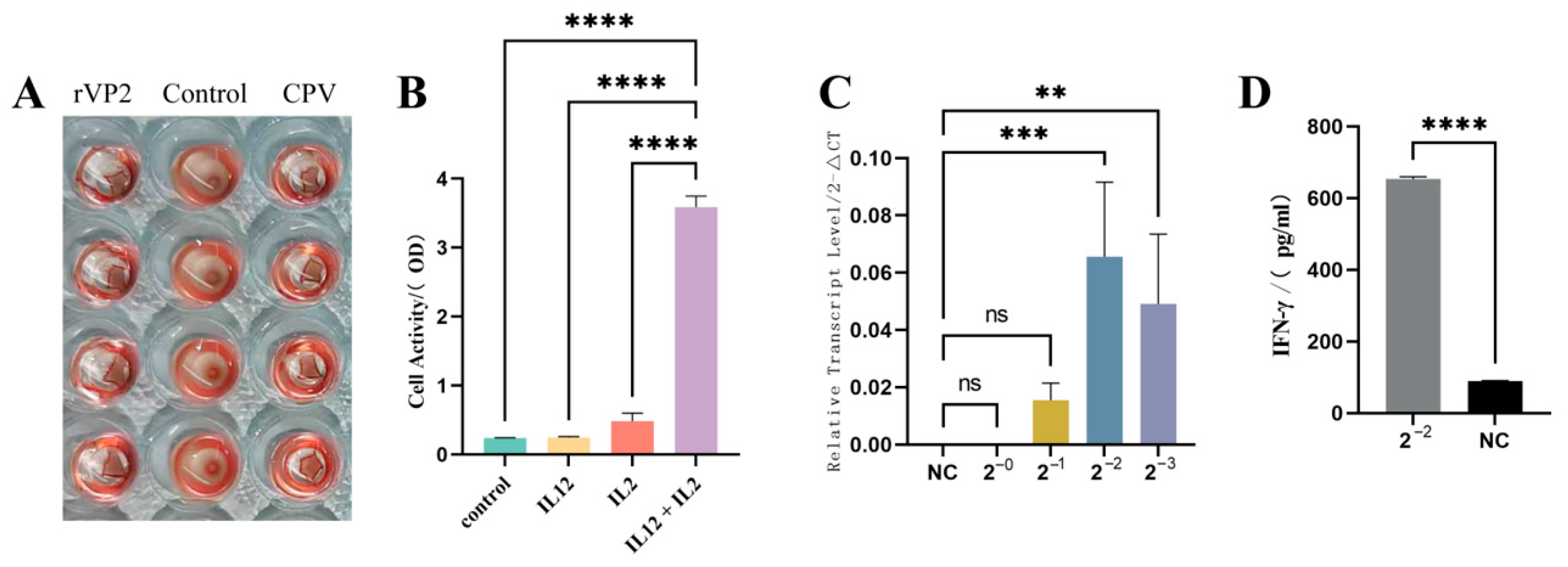 Vaccines 13 00758 g002