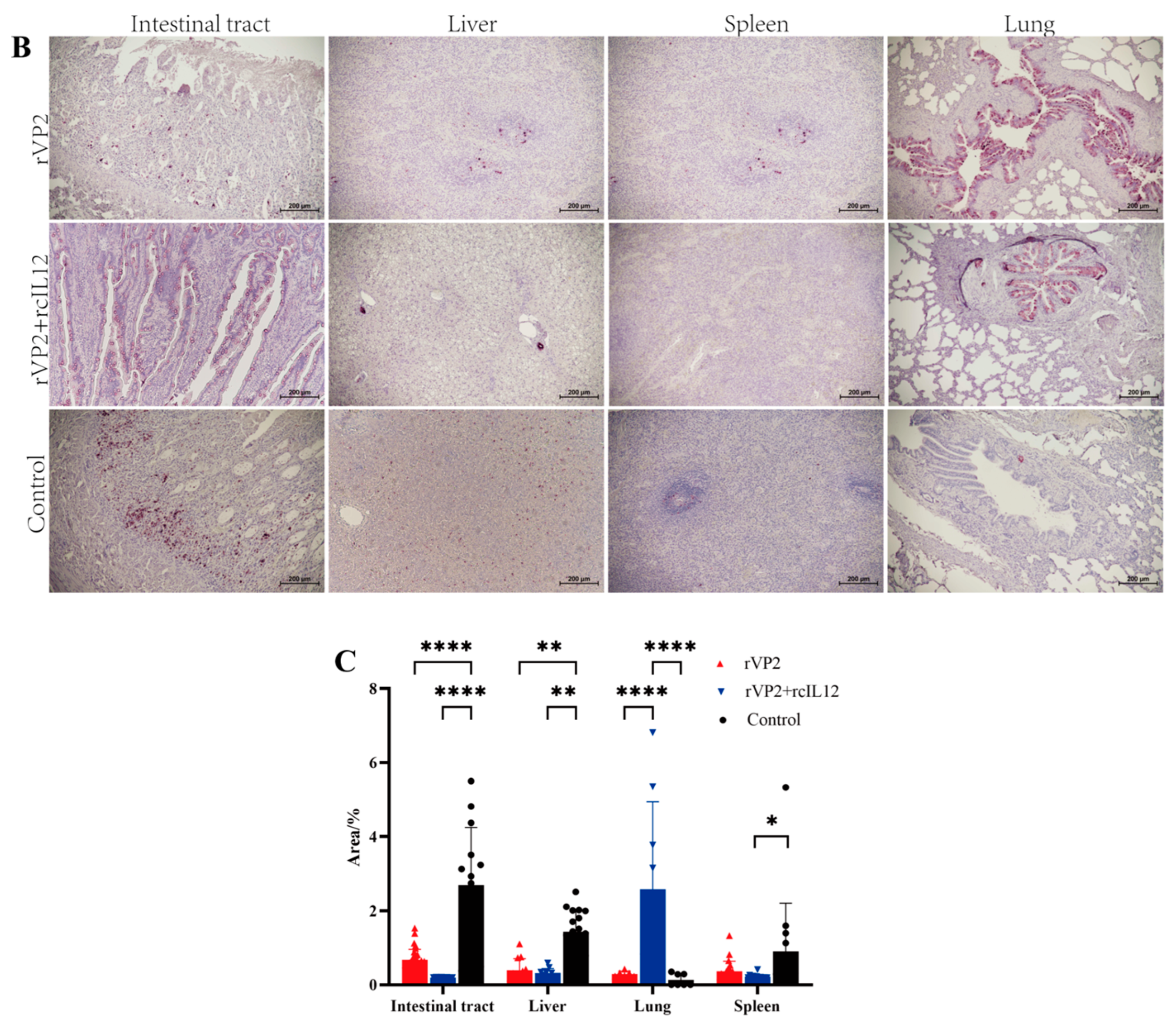 Vaccines 13 00758 g004b