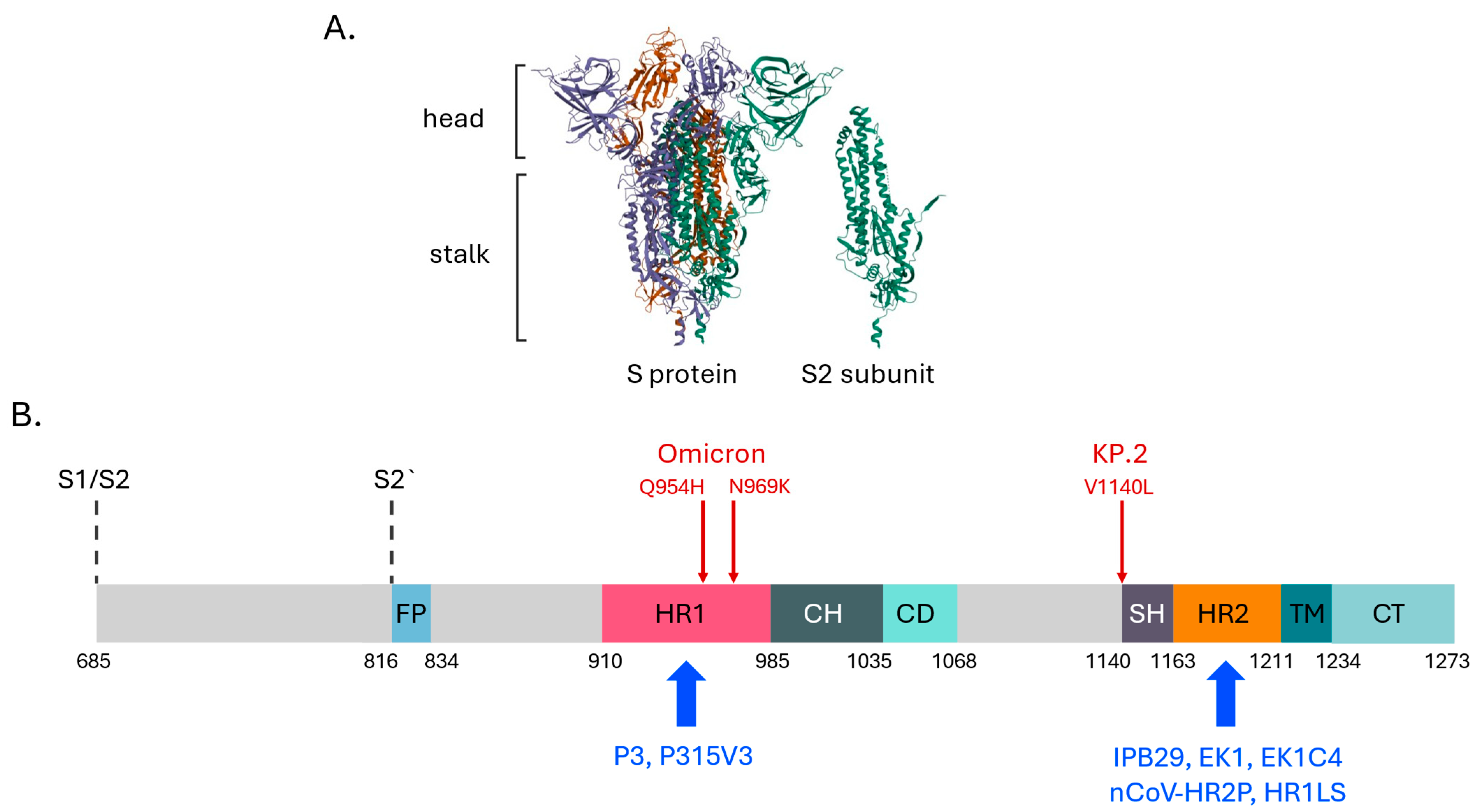 Vaccines 13 00761 g001