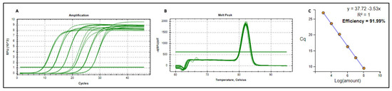 Vaccines 13 00762 g0a1