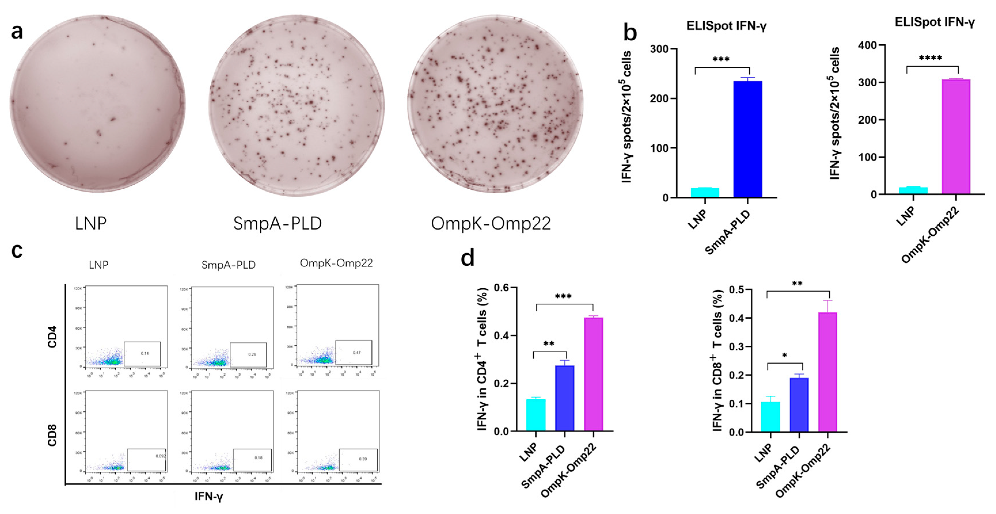 Vaccines 13 00764 g003