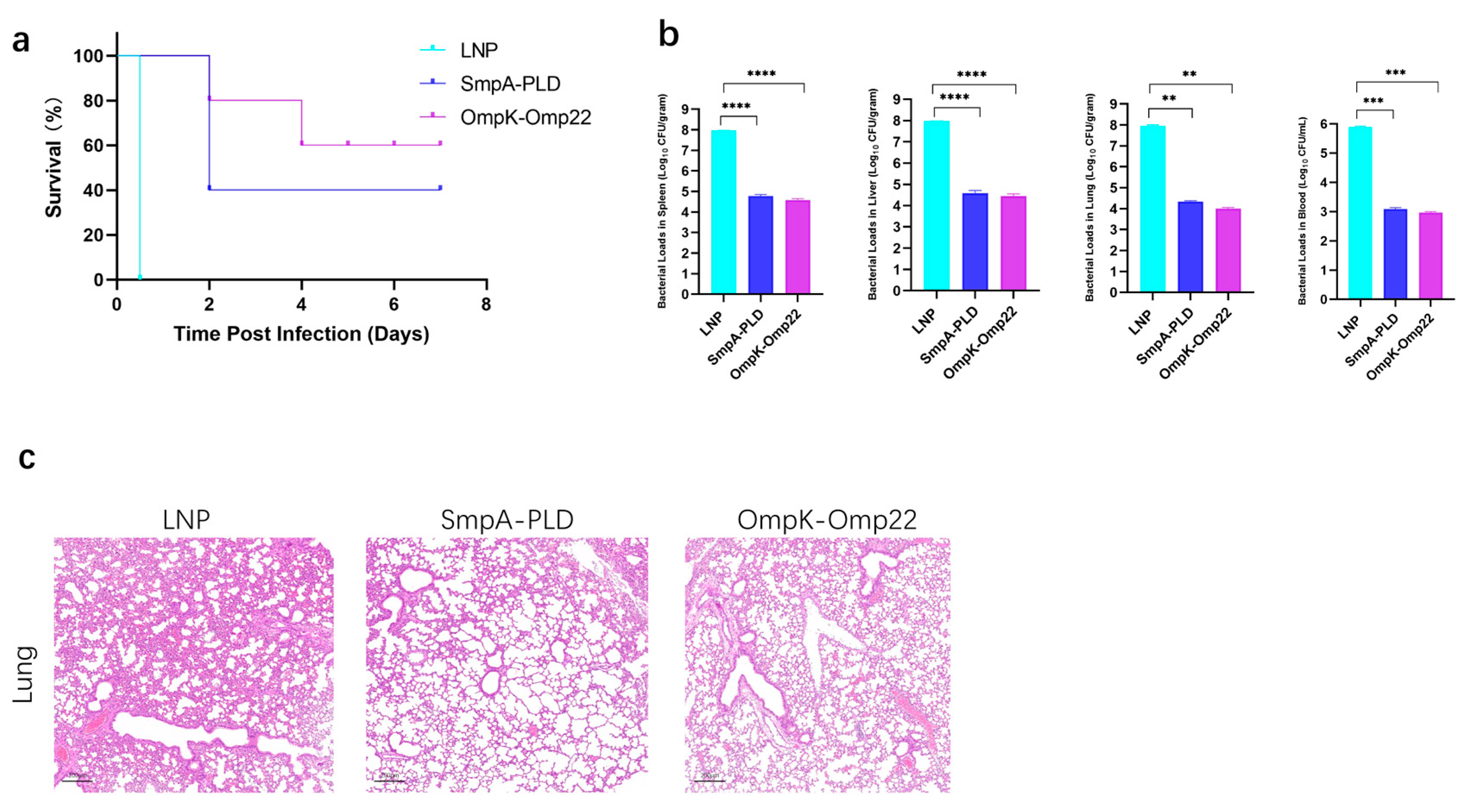 Vaccines 13 00764 g004