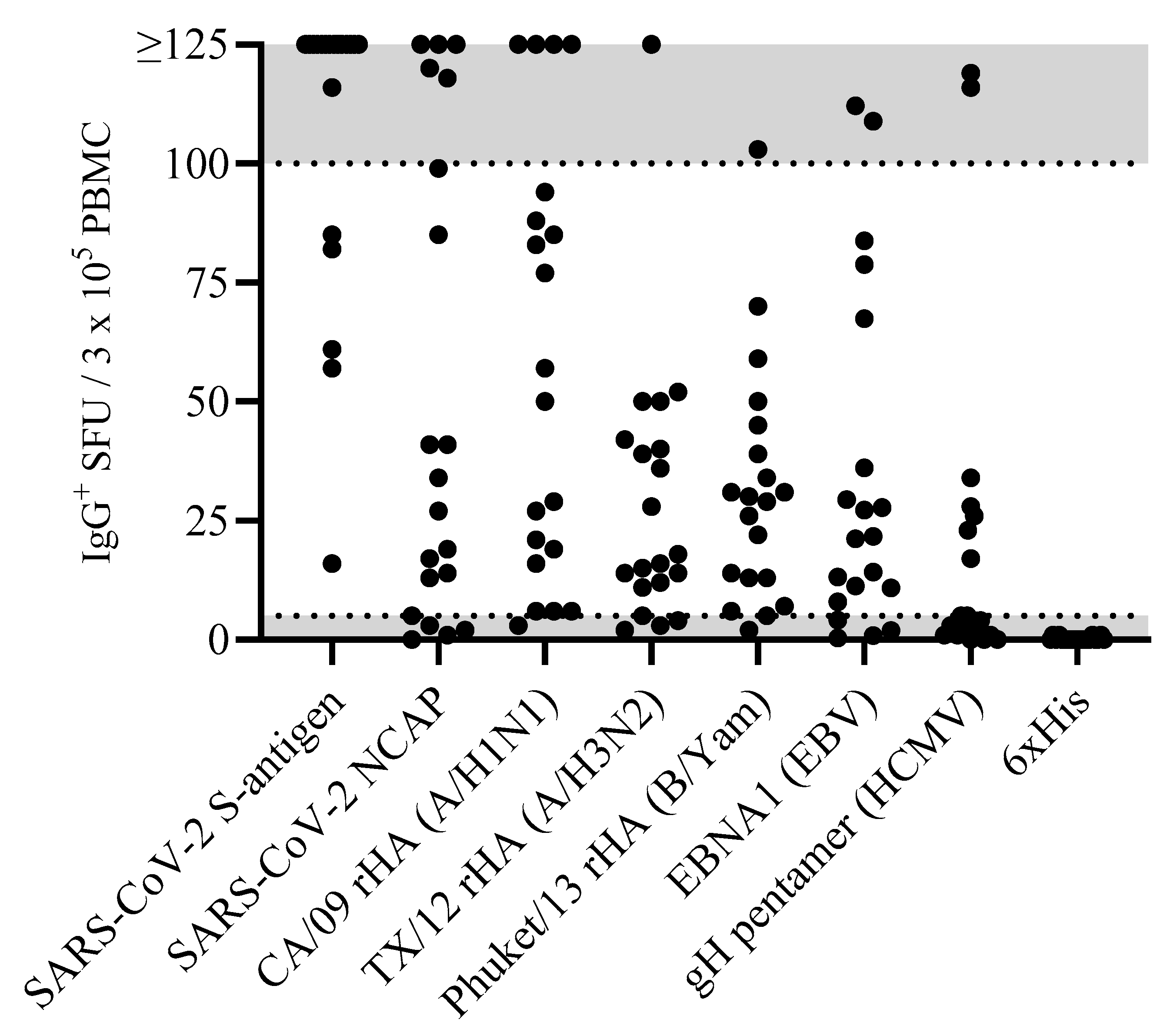 Vaccines 13 00765 g001