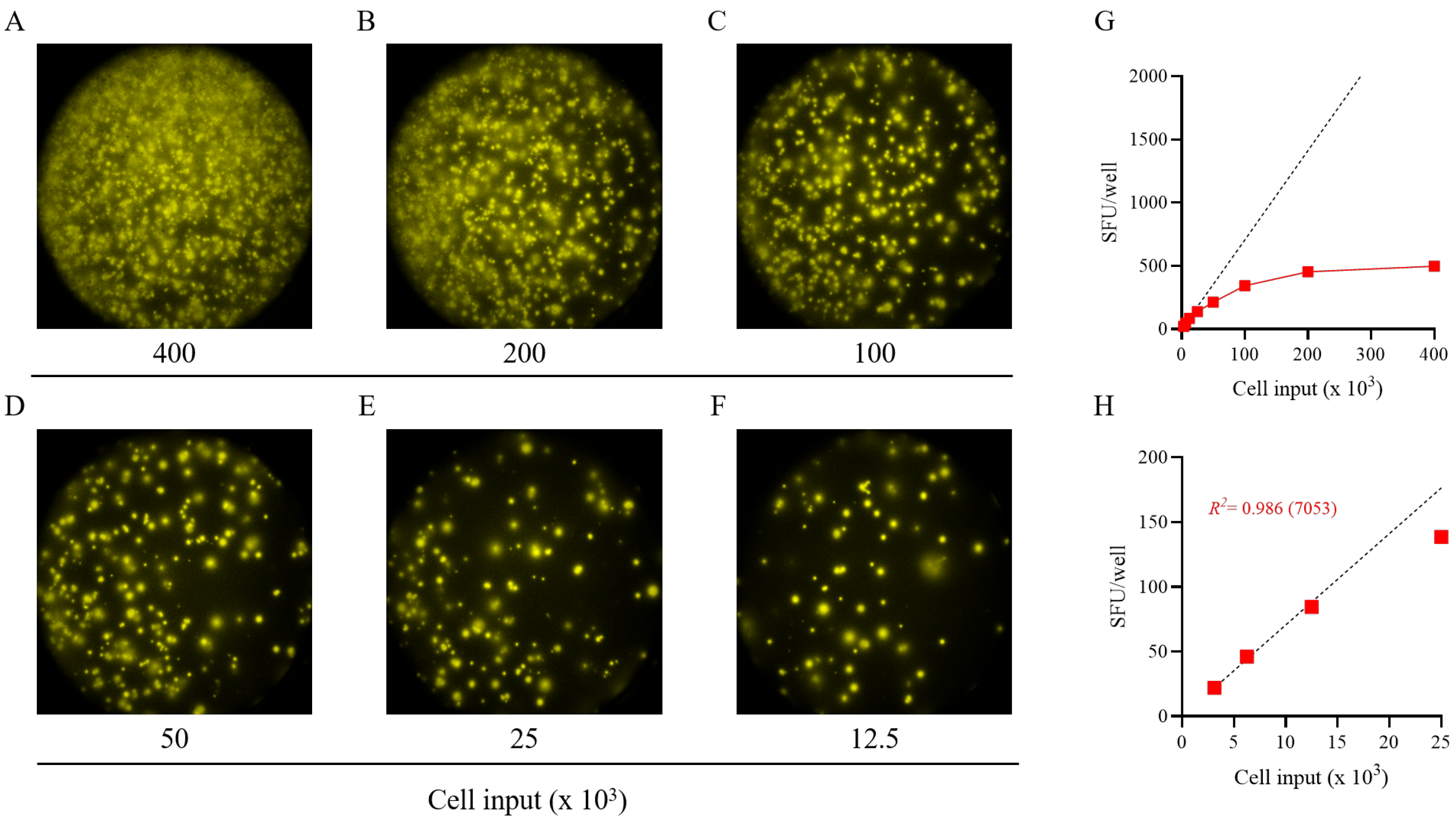 Vaccines 13 00765 g002