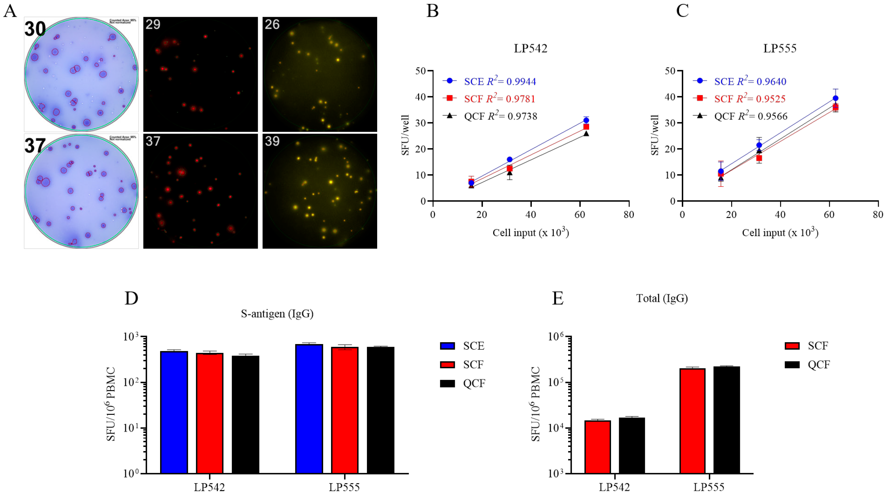 Vaccines 13 00765 g004