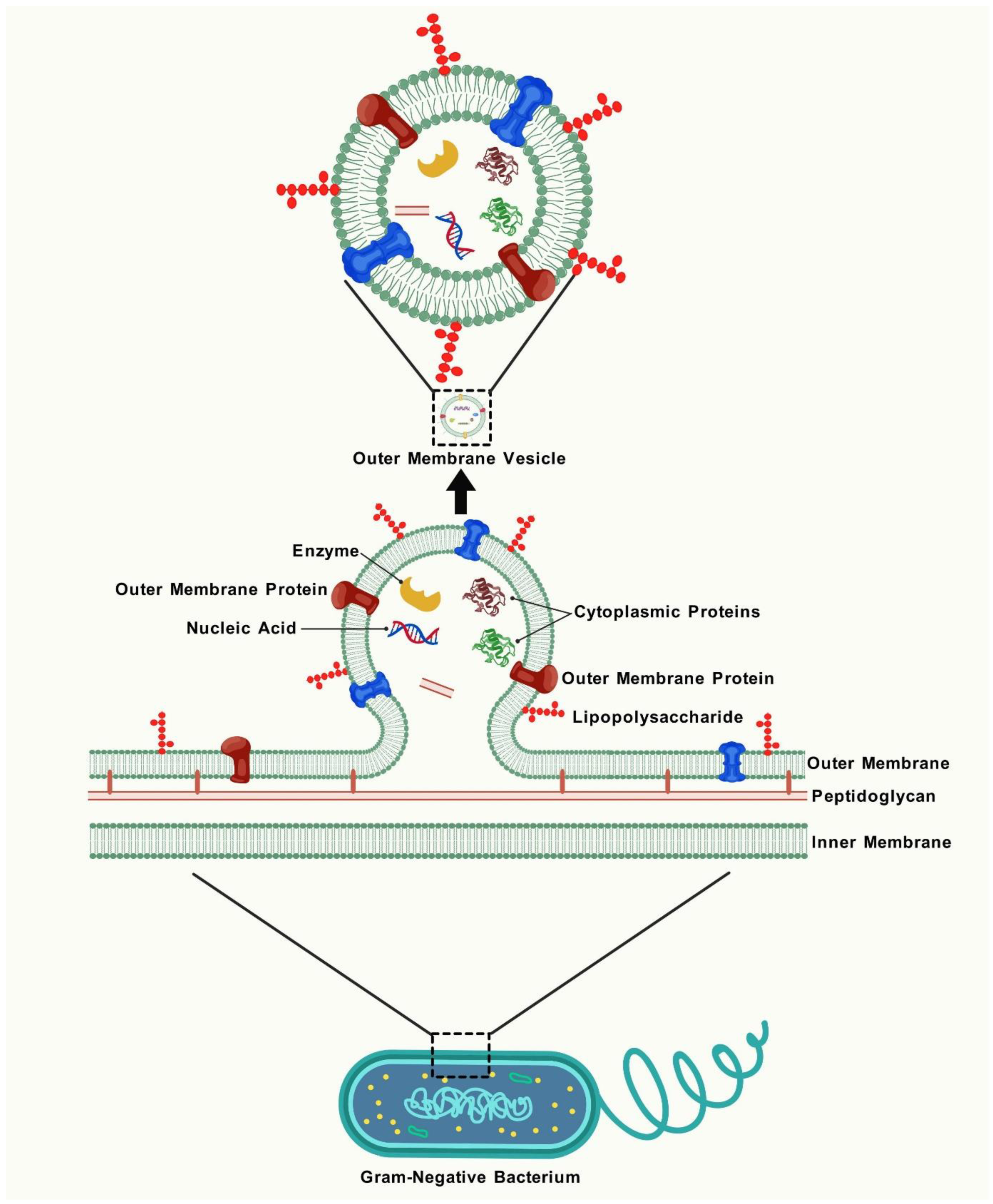 Vaccines 13 00767 g002