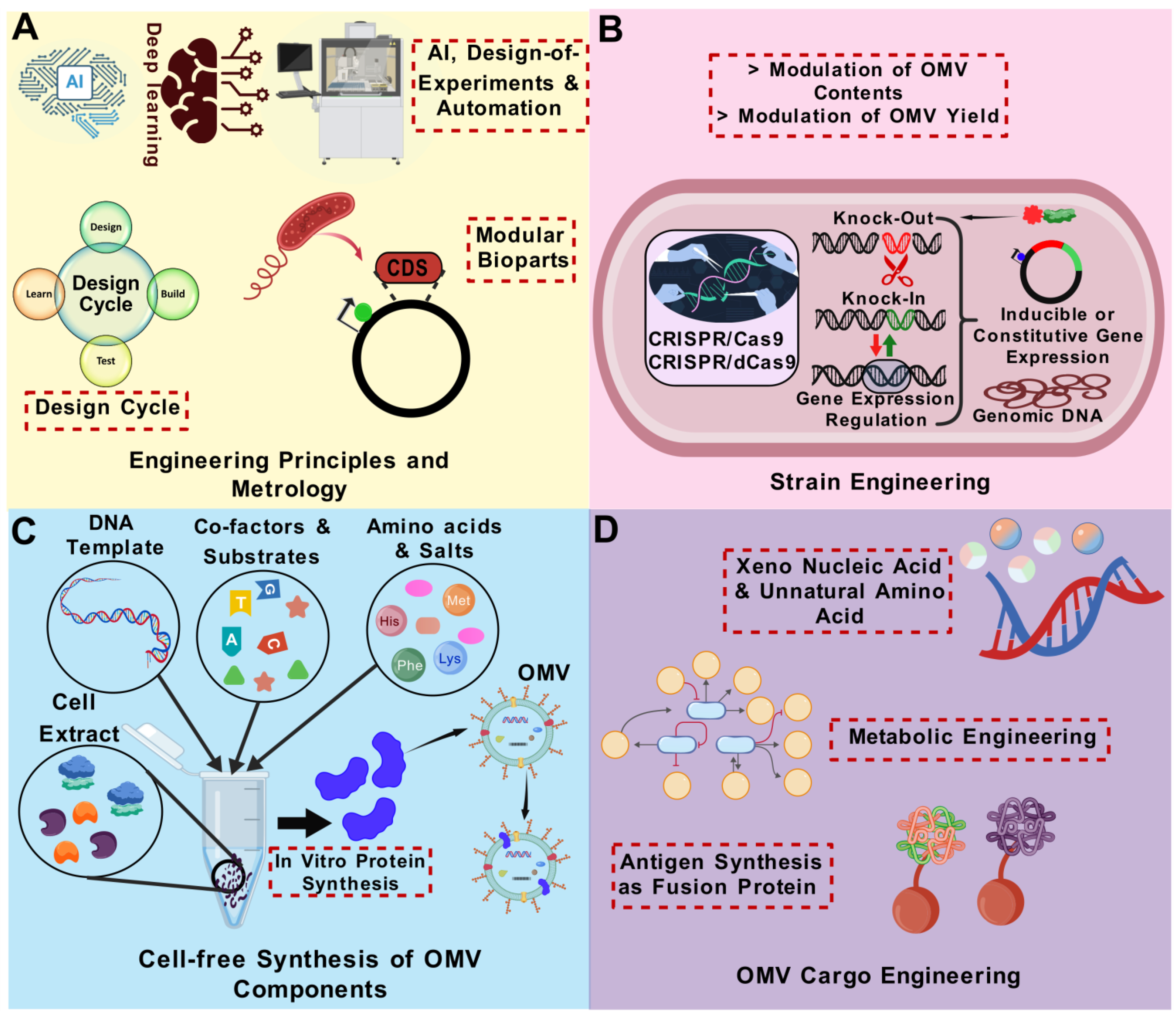 Vaccines 13 00767 g007