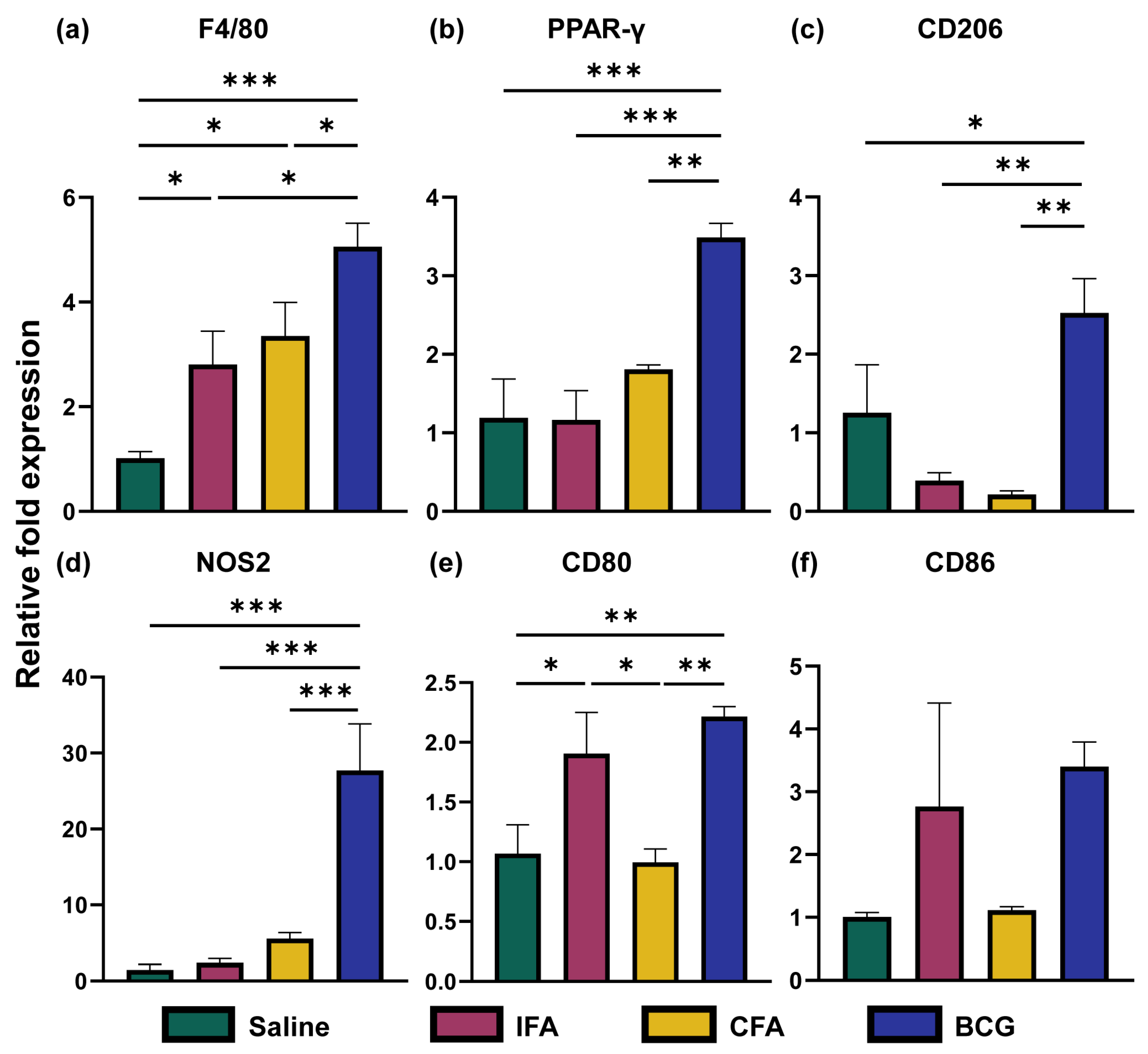 Vaccines 13 00768 g002