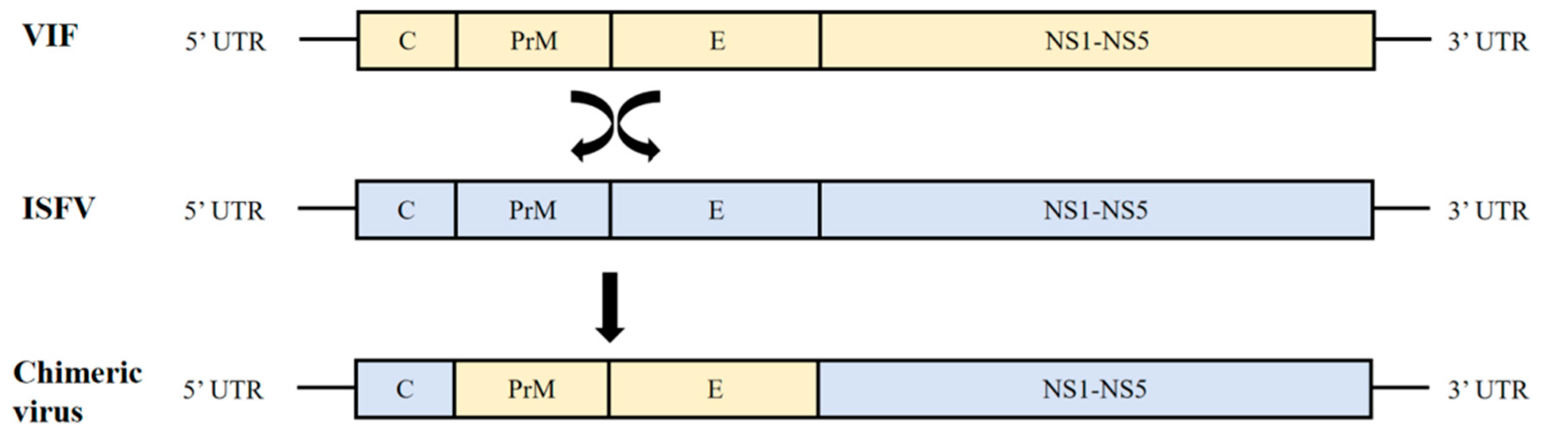 Vaccines 13 00769 g001