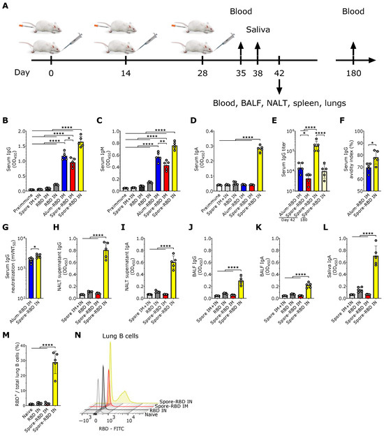Vaccines 13 00772 g001