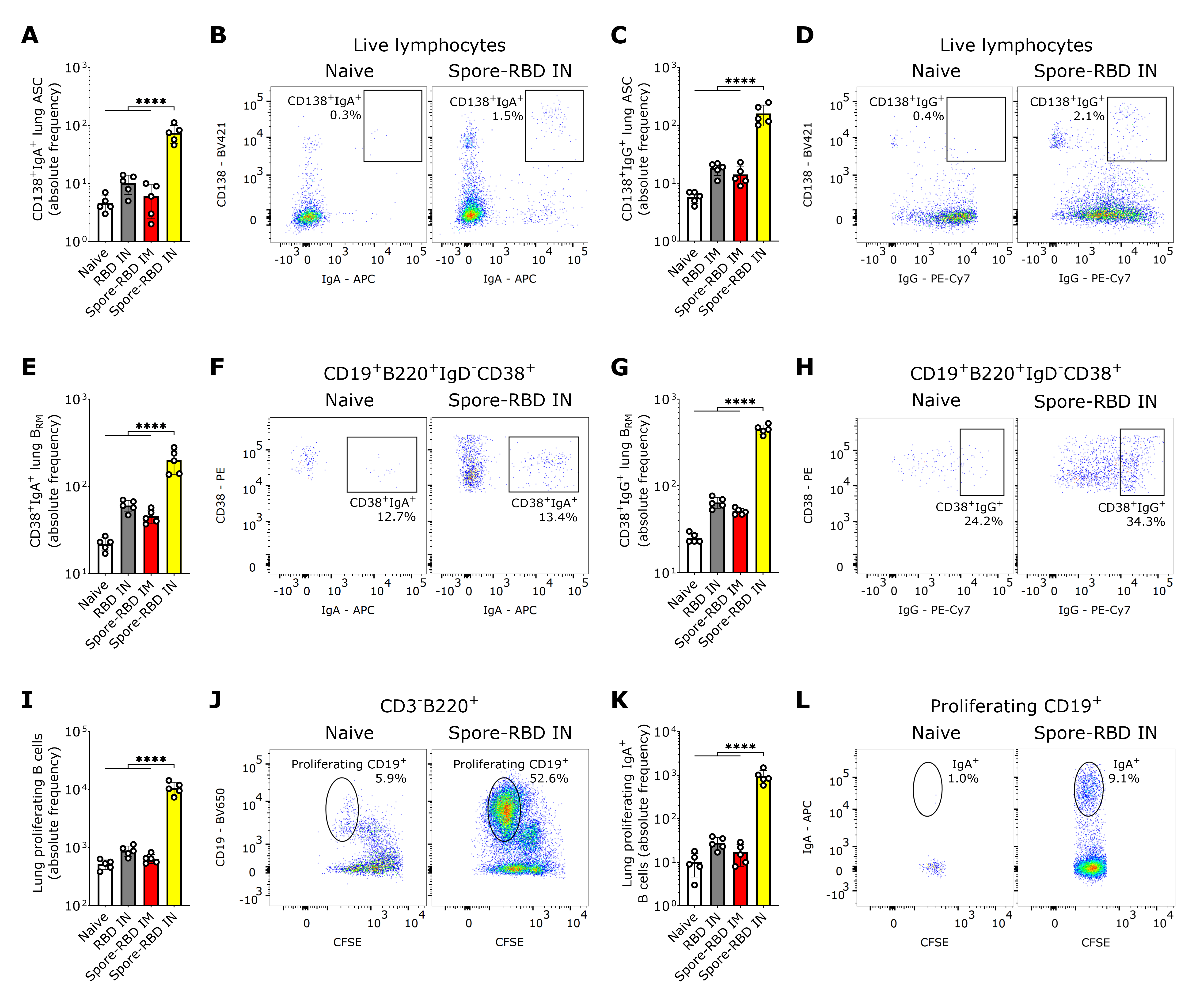 Vaccines 13 00772 g002