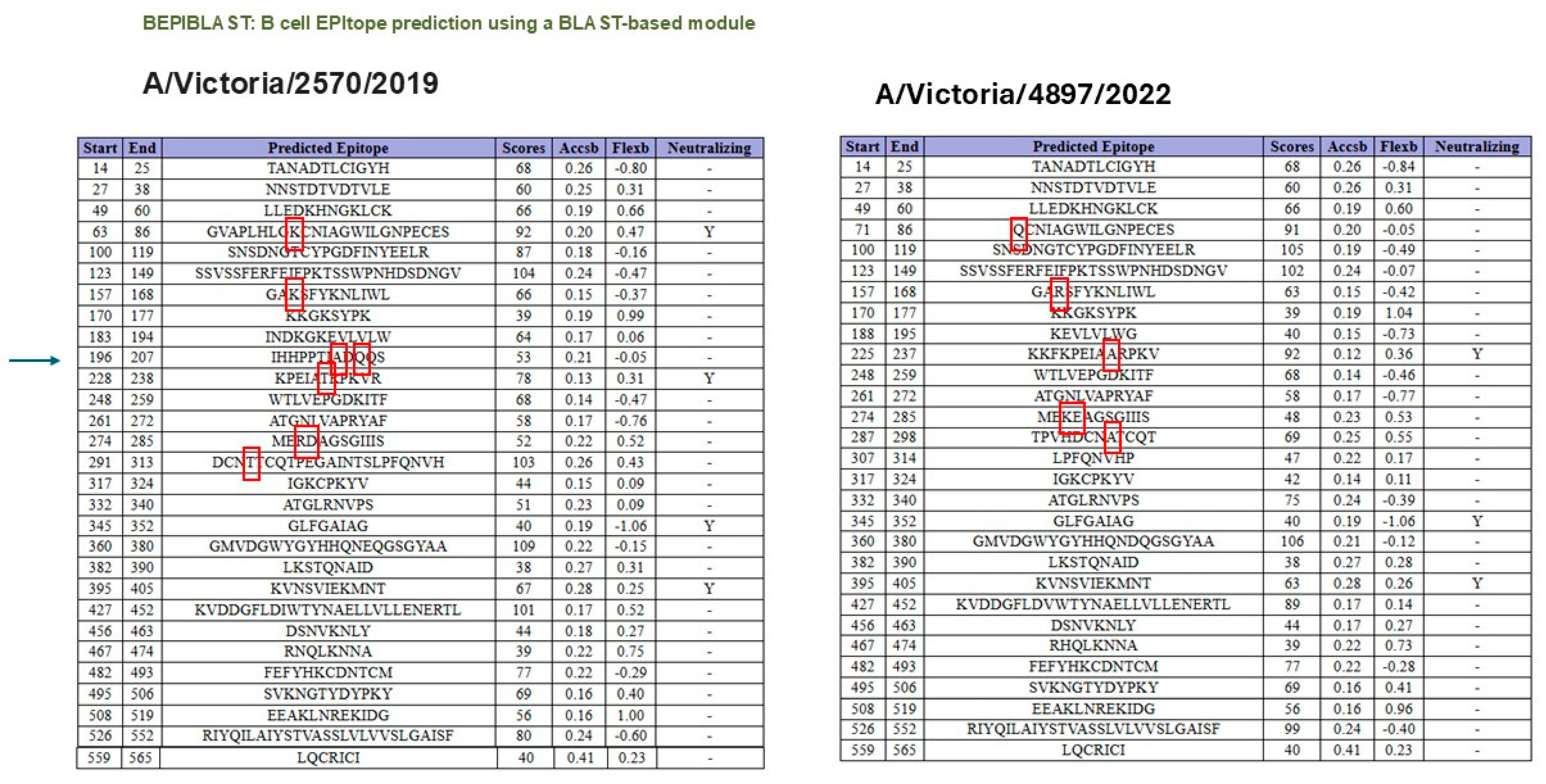 Vaccines 13 00774 g004