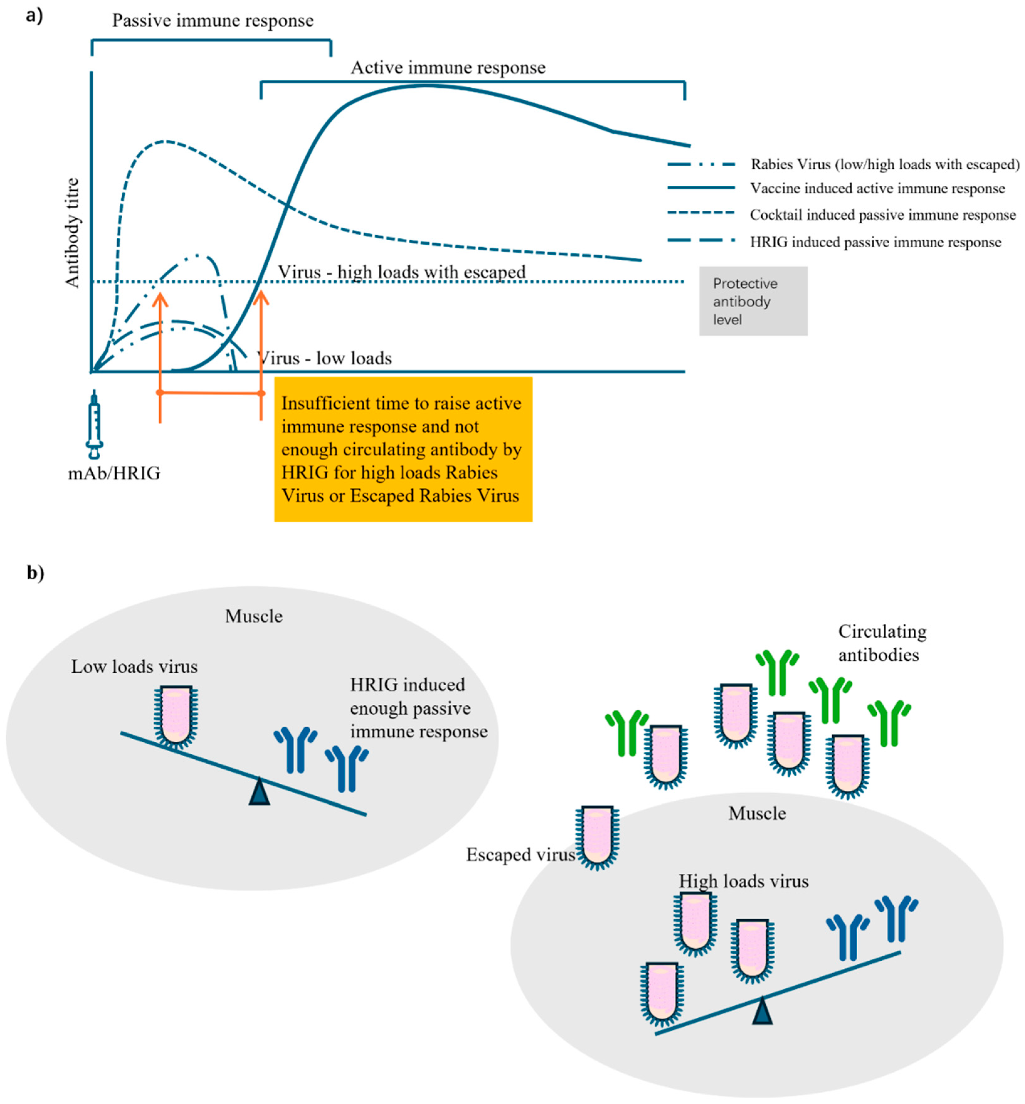 Vaccines 13 00775 g003