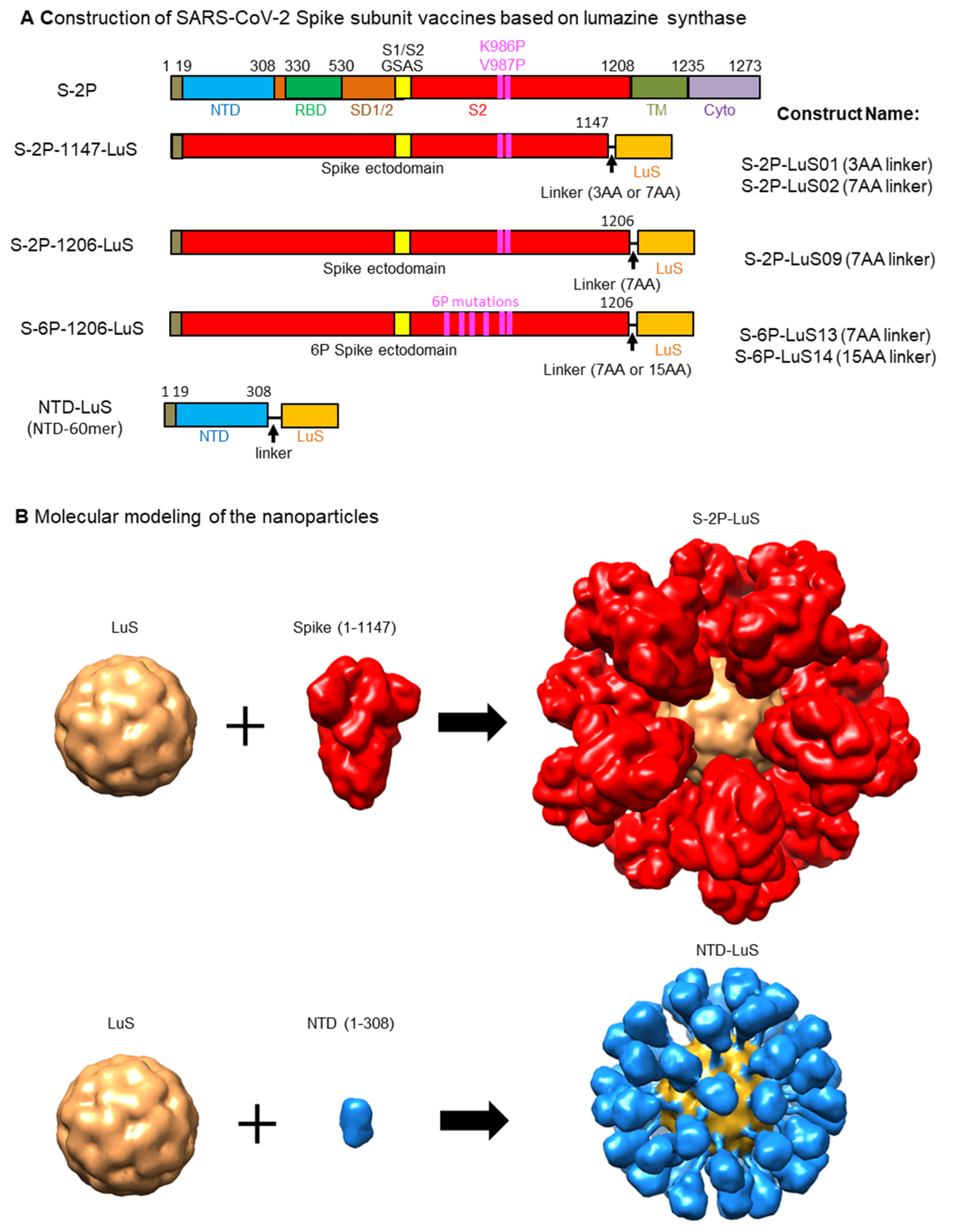 Vaccines 13 00780 g001