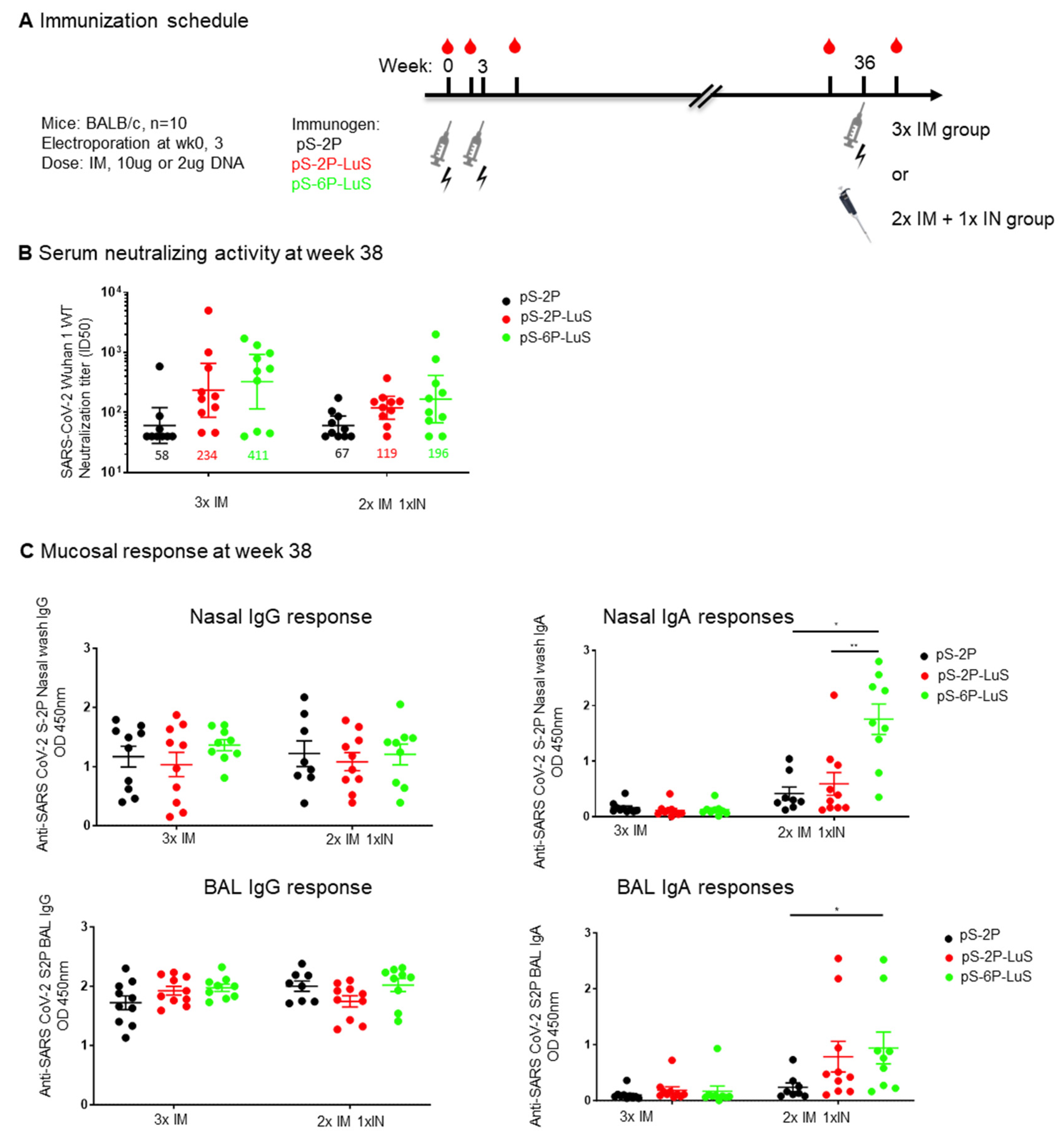 Vaccines 13 00780 g006