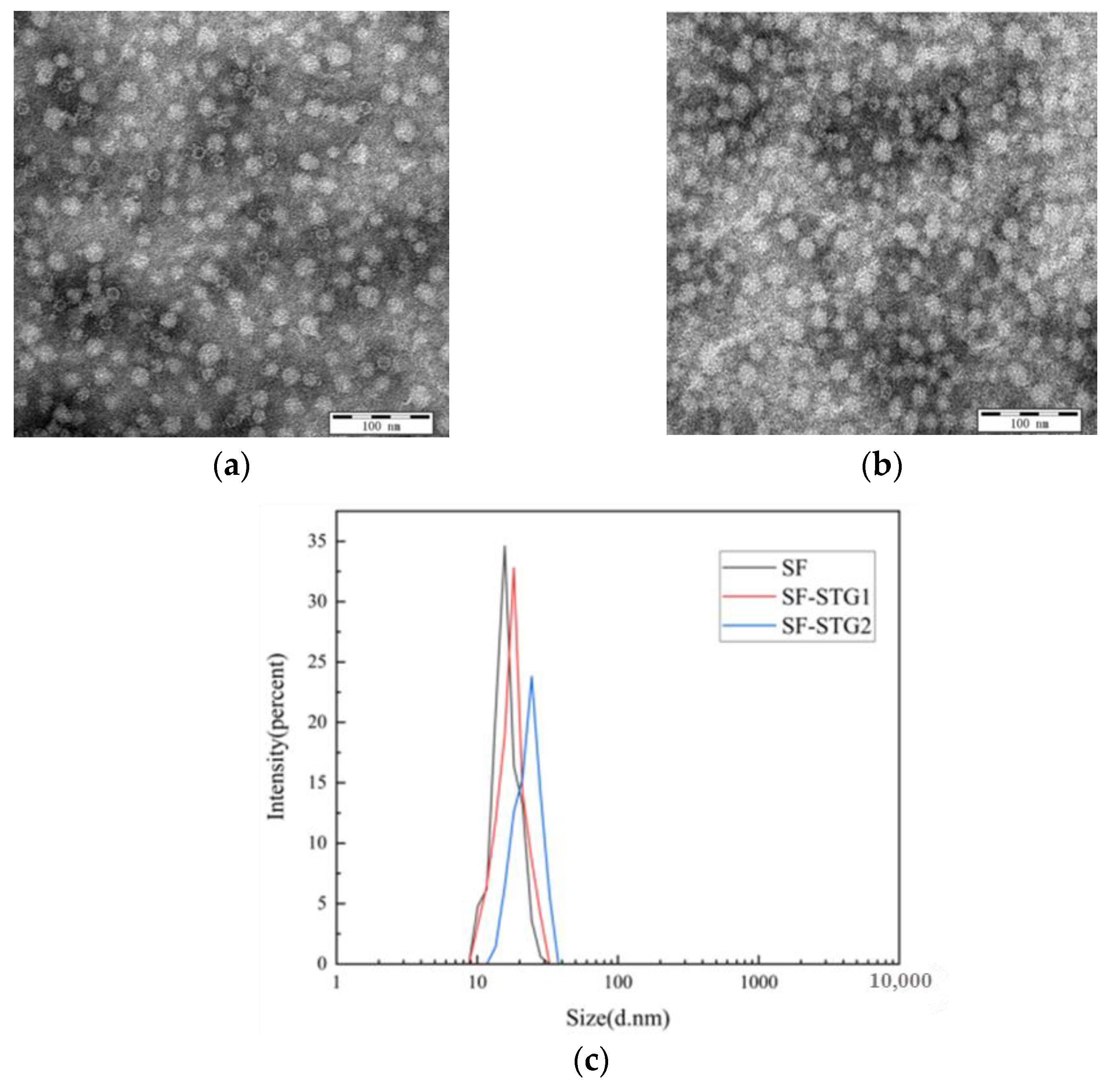 Vaccines 13 00781 g003