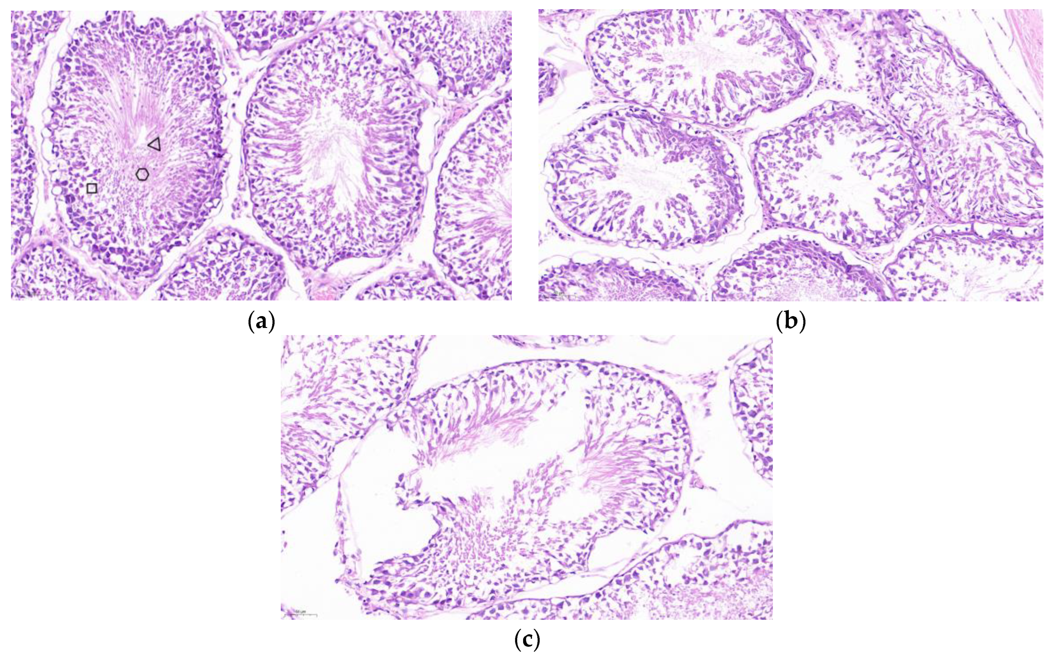 Vaccines 13 00781 g006