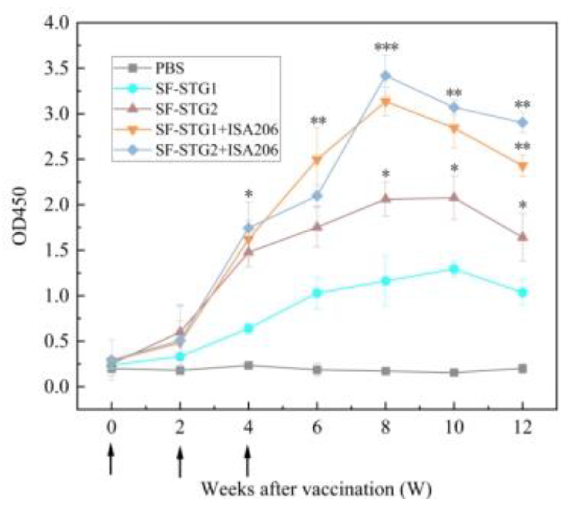 Vaccines 13 00781 g008