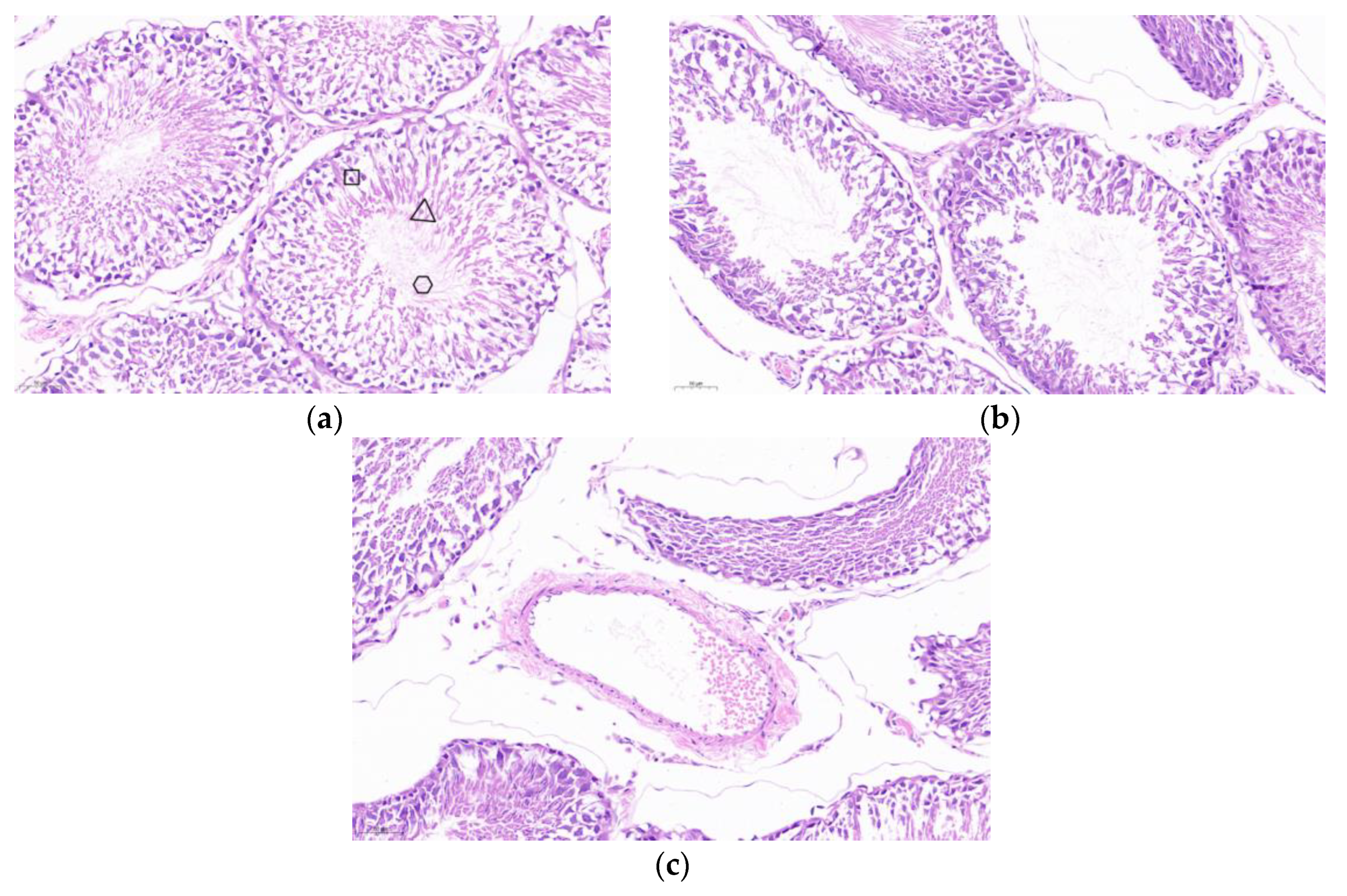 Vaccines 13 00781 g010