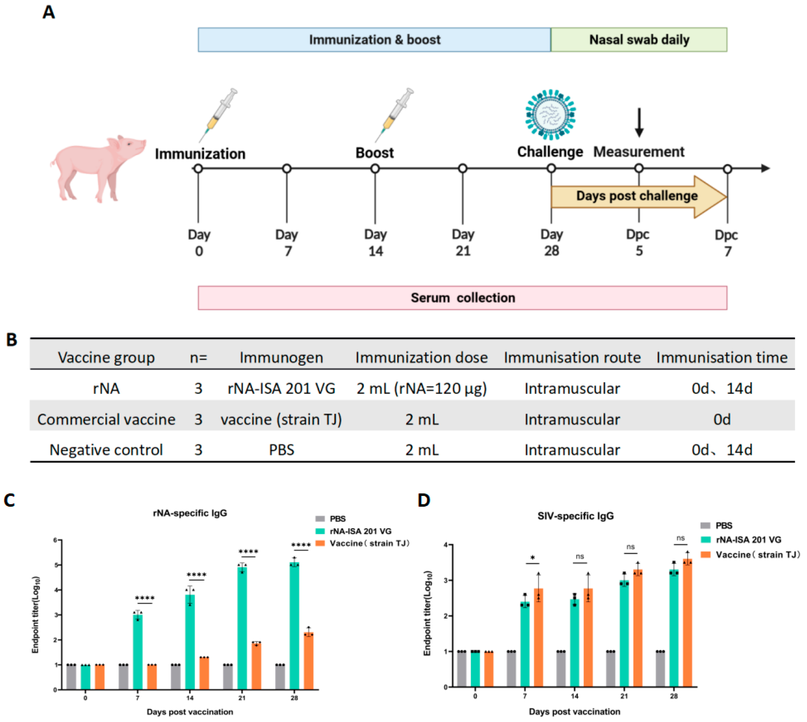 Vaccines 13 00783 g002