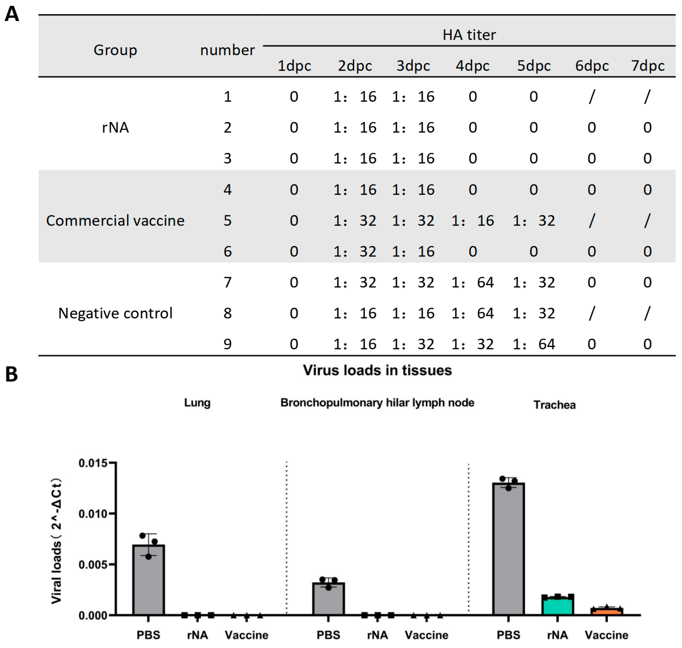 Vaccines 13 00783 g004