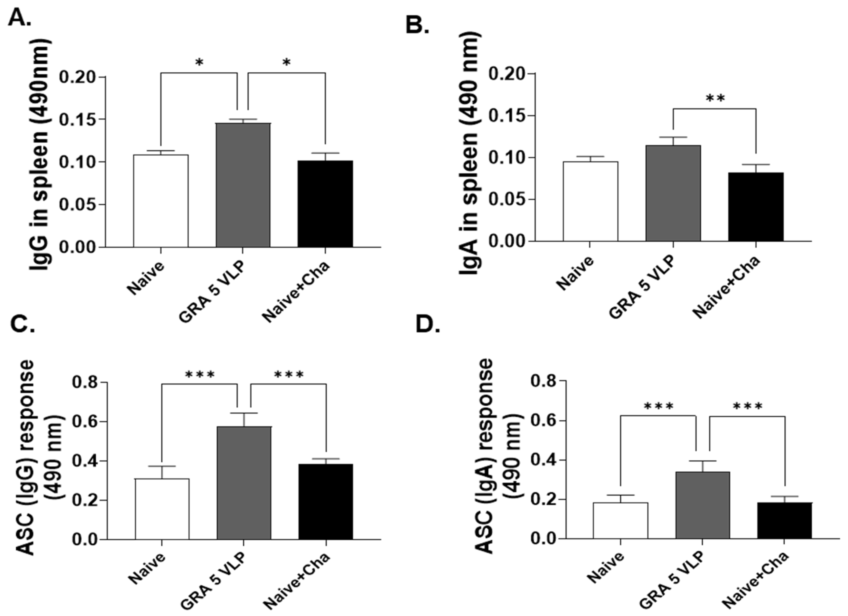 Vaccines 13 00787 g004