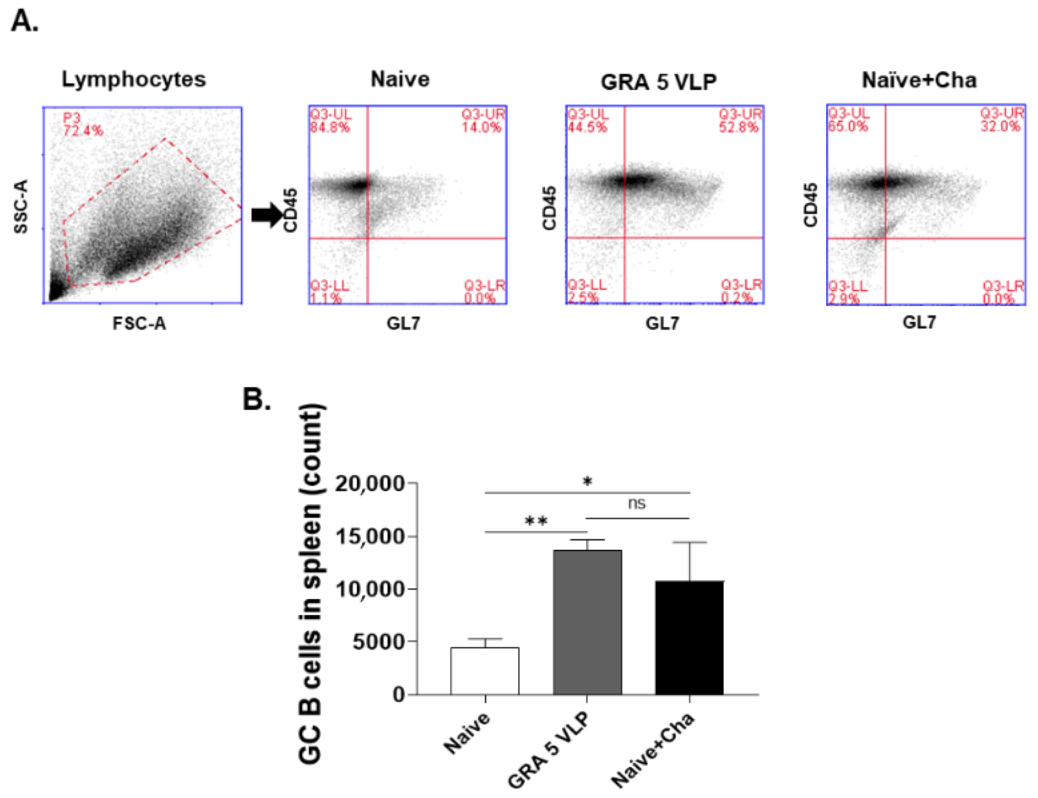 Vaccines 13 00787 g005