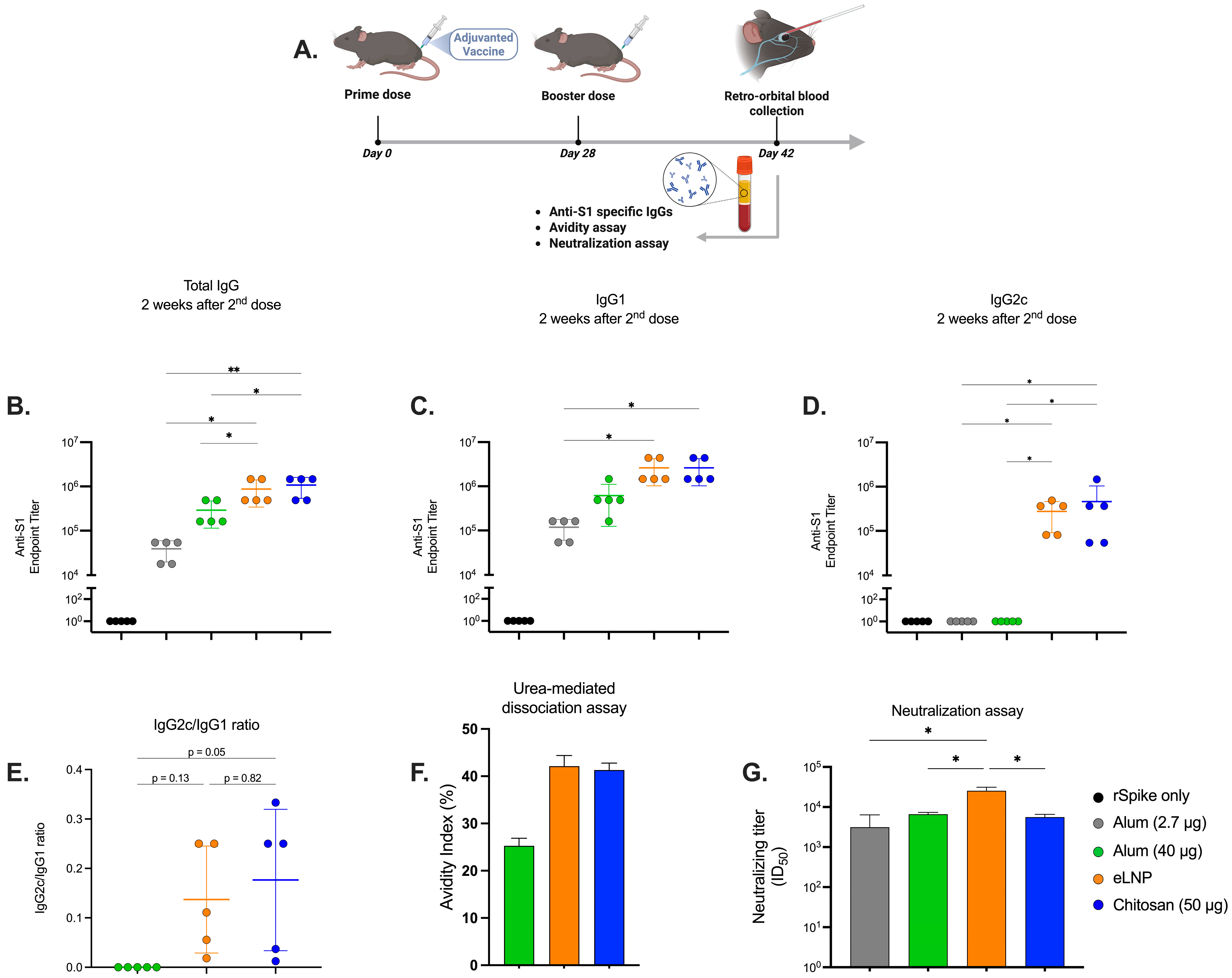 Vaccines 13 00788 g001