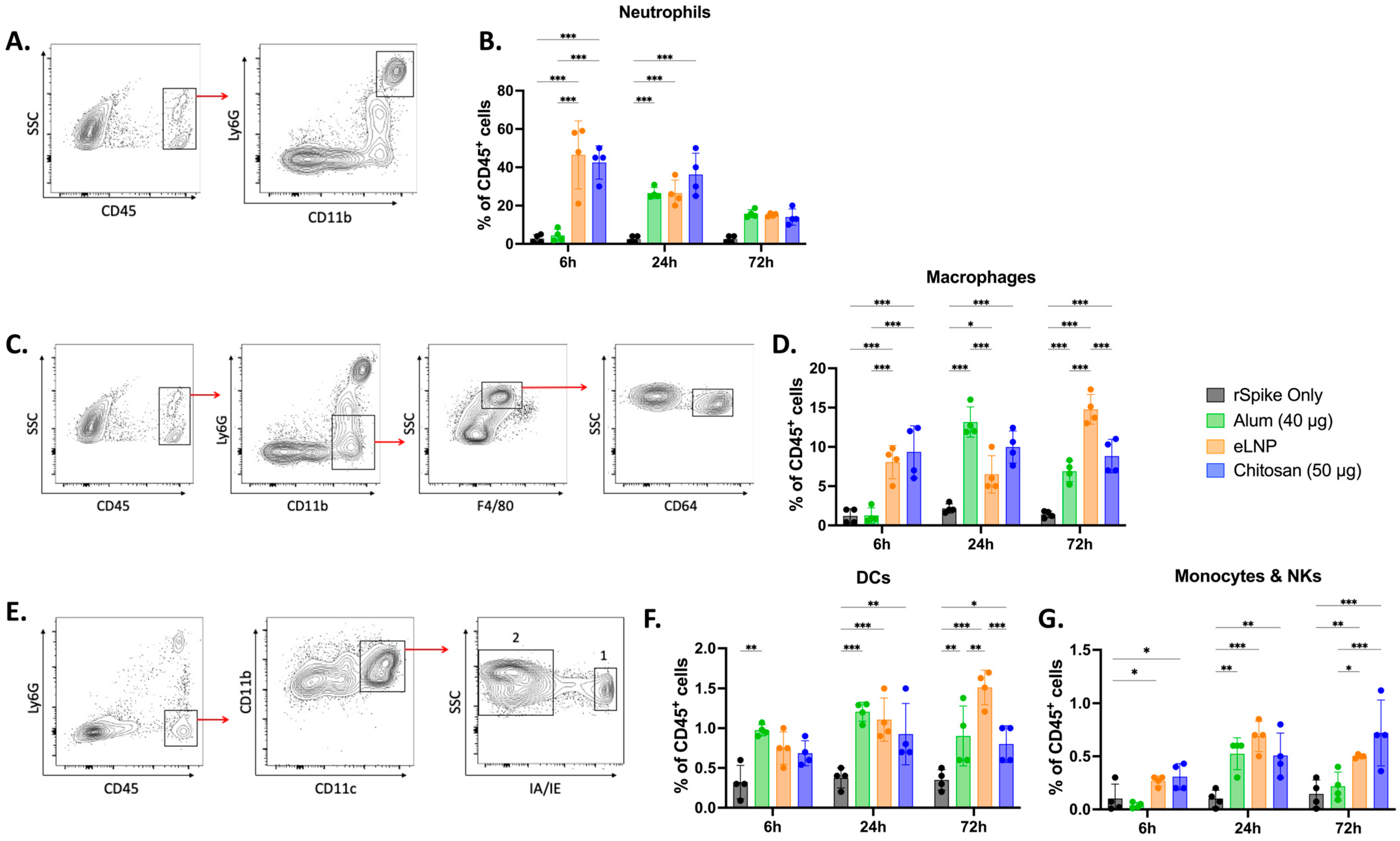 Vaccines 13 00788 g005