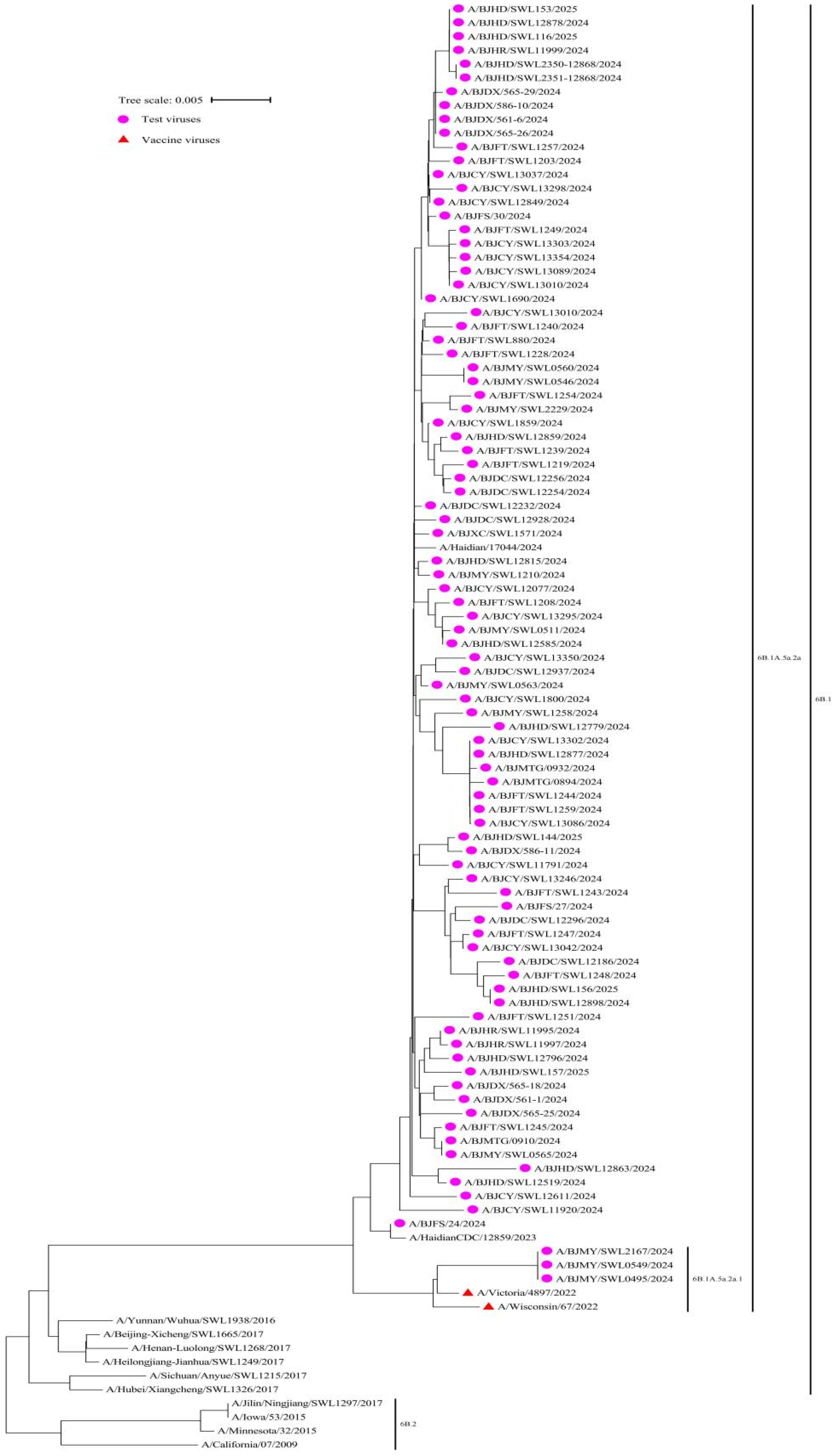 Vaccines 13 00809 g002