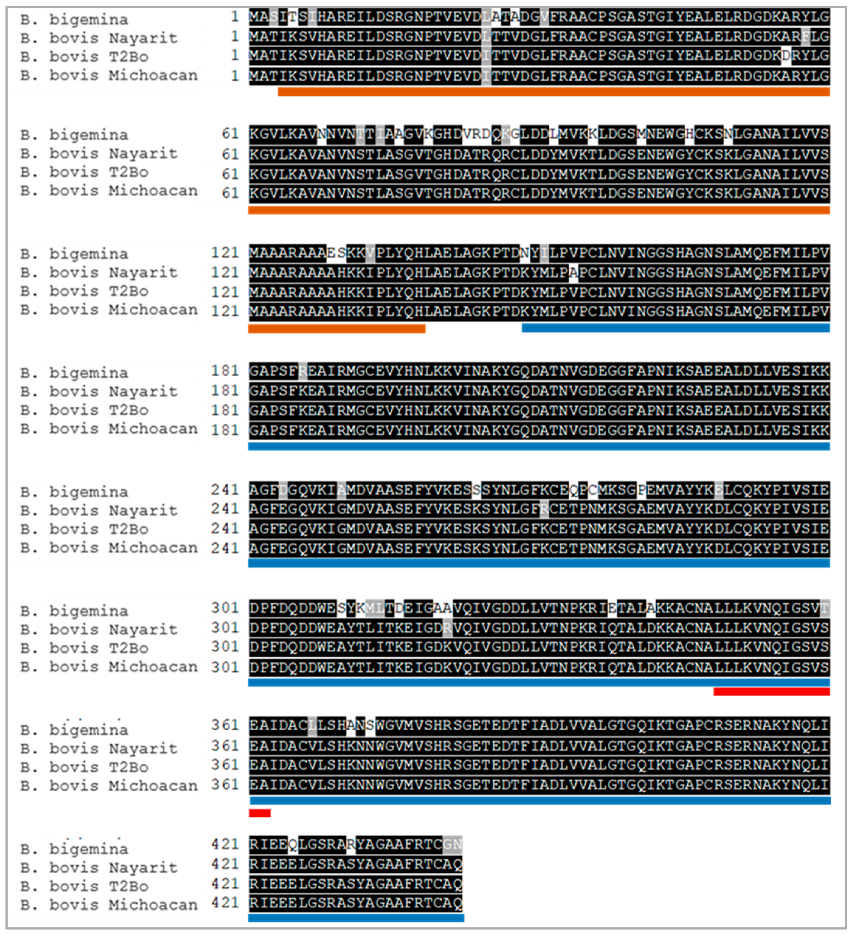 Vaccines 13 00818 g002