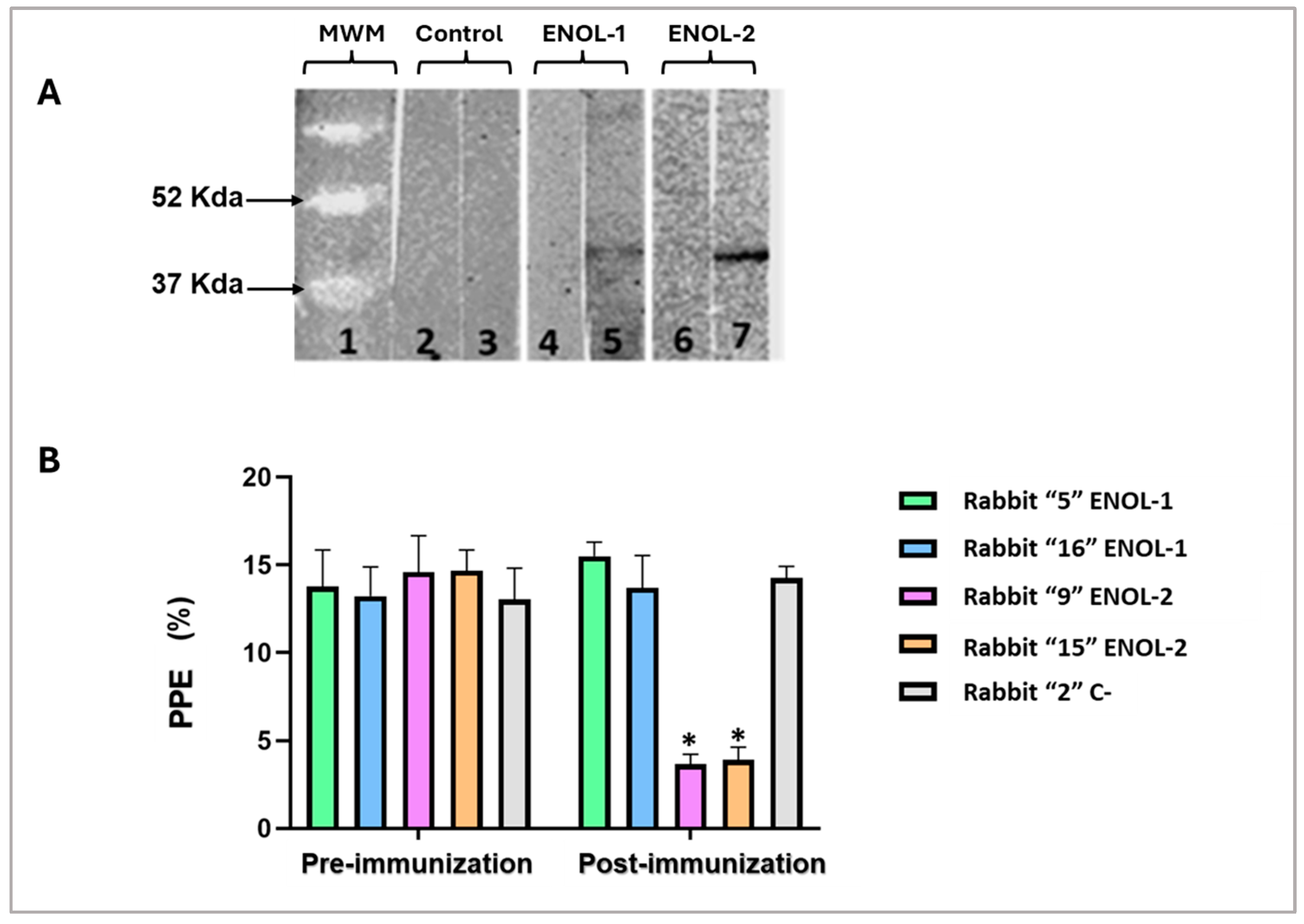 Vaccines 13 00818 g004
