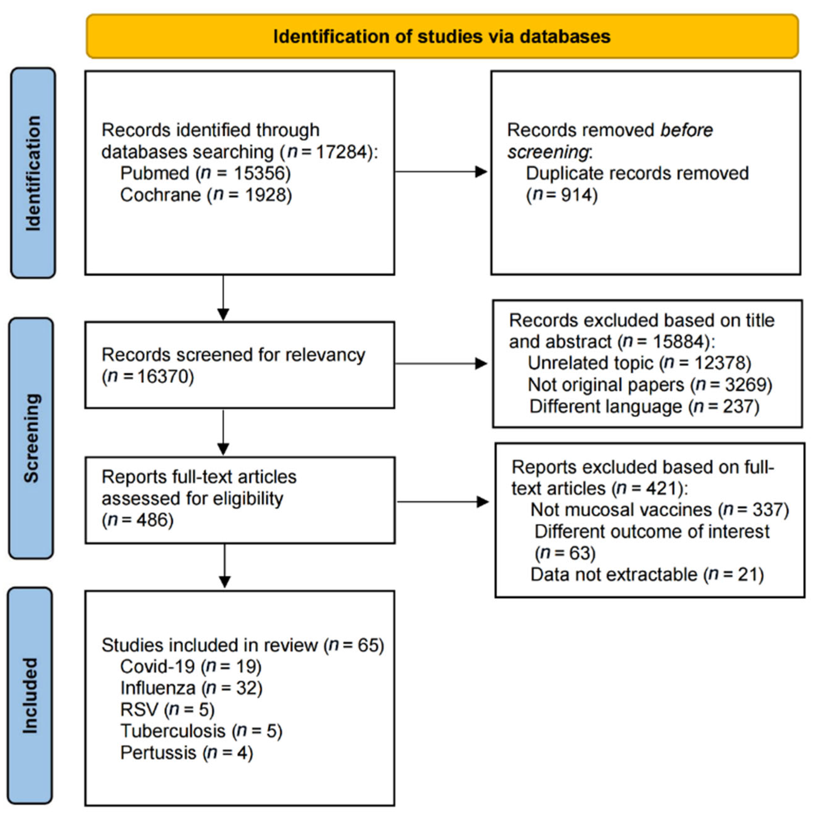Vaccines 13 00825 g001