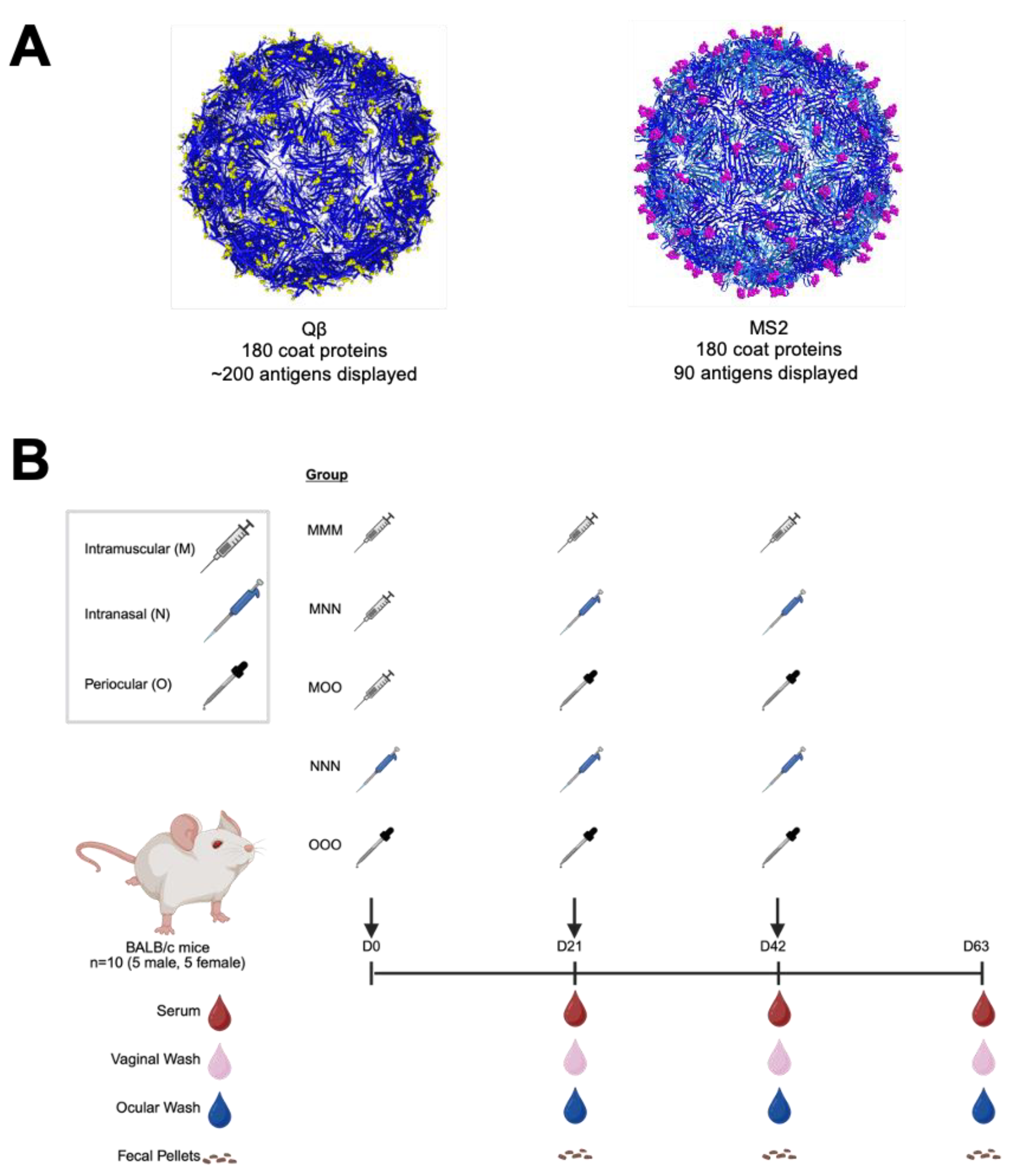 Vaccines 13 00829 g001
