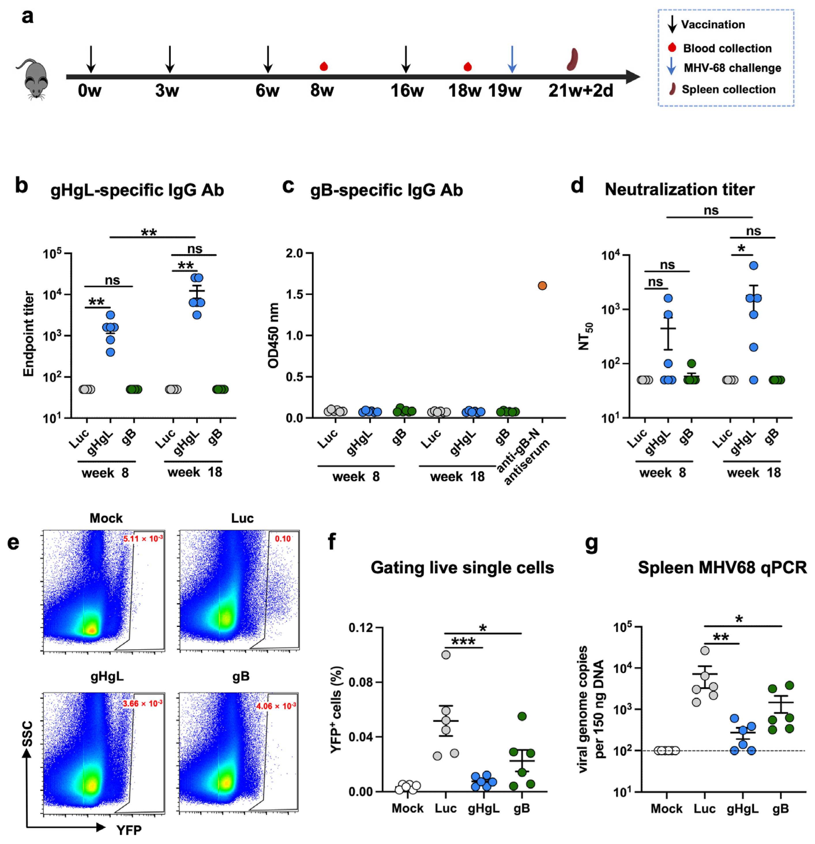 Vaccines 13 00830 g002