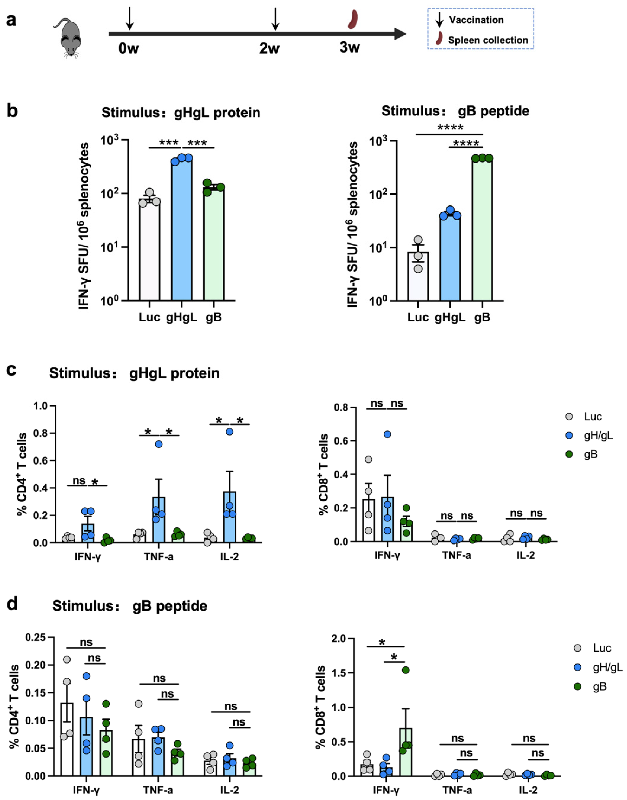 Vaccines 13 00830 g003